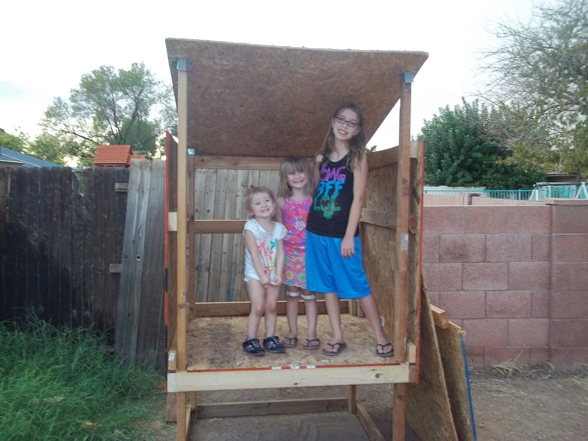 The kids are all excited to "help" build the chickens house.
