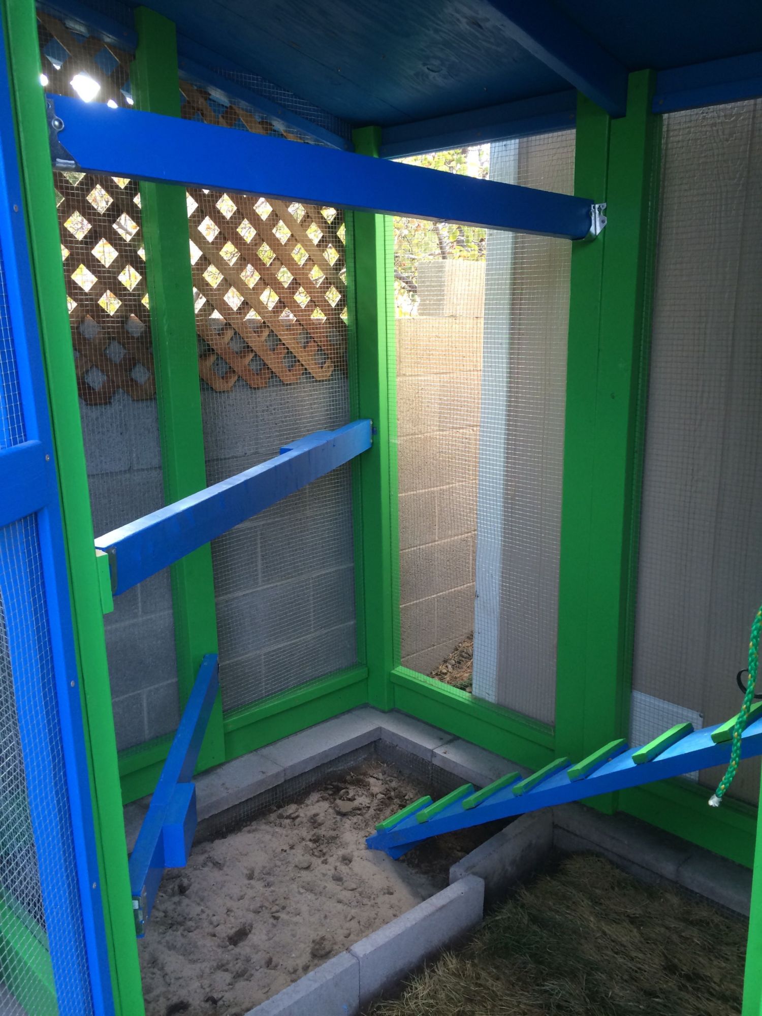 The ladder, perches & dust bath