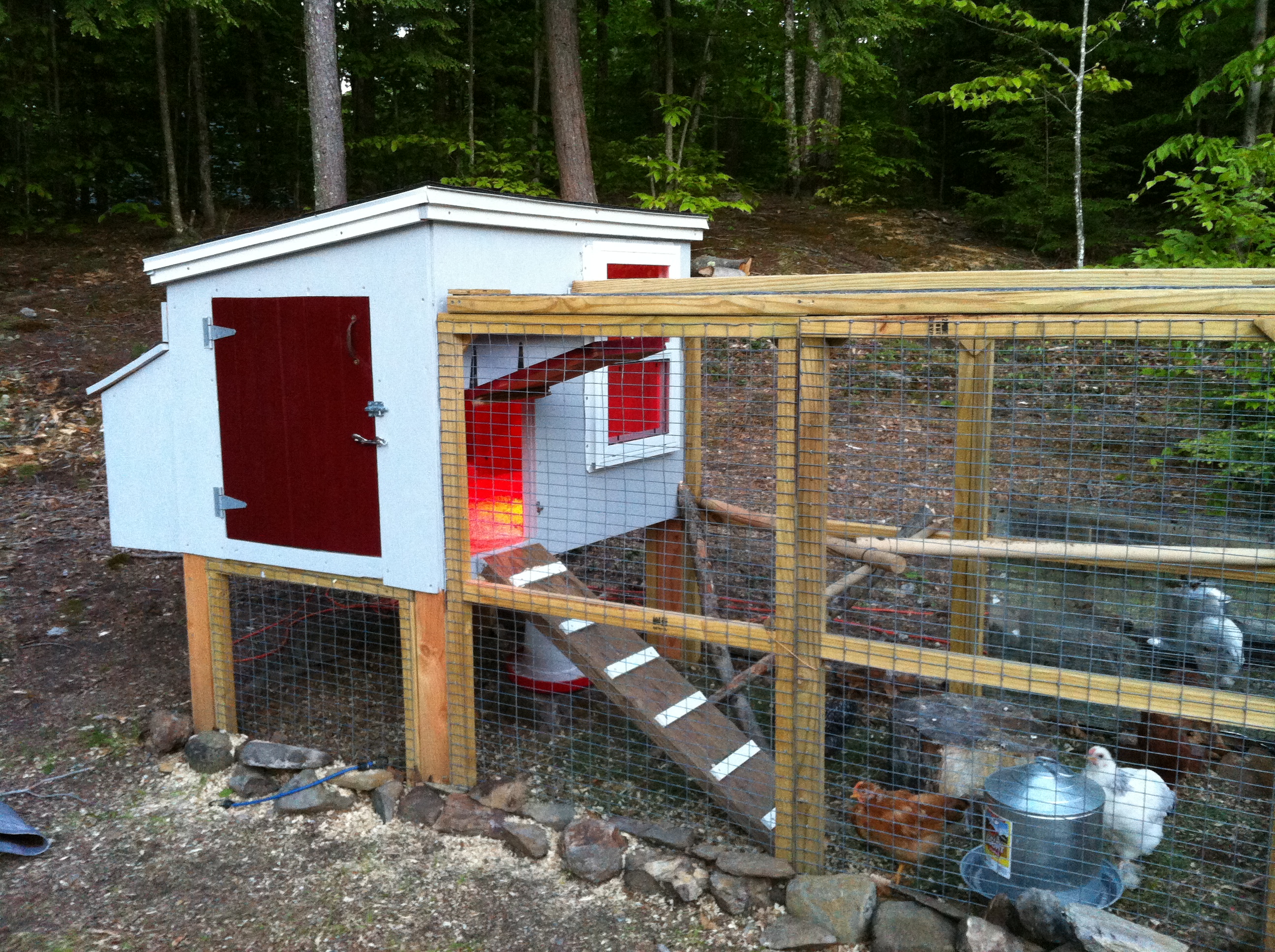 The ladies coop...just big enough.