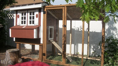 The Lancaster Chicken Coop which has a clean out drawer, perches, easy egg retrieval box, and large chicken run access. Super Sweet Coop

www.uppervalleybuilders.biz