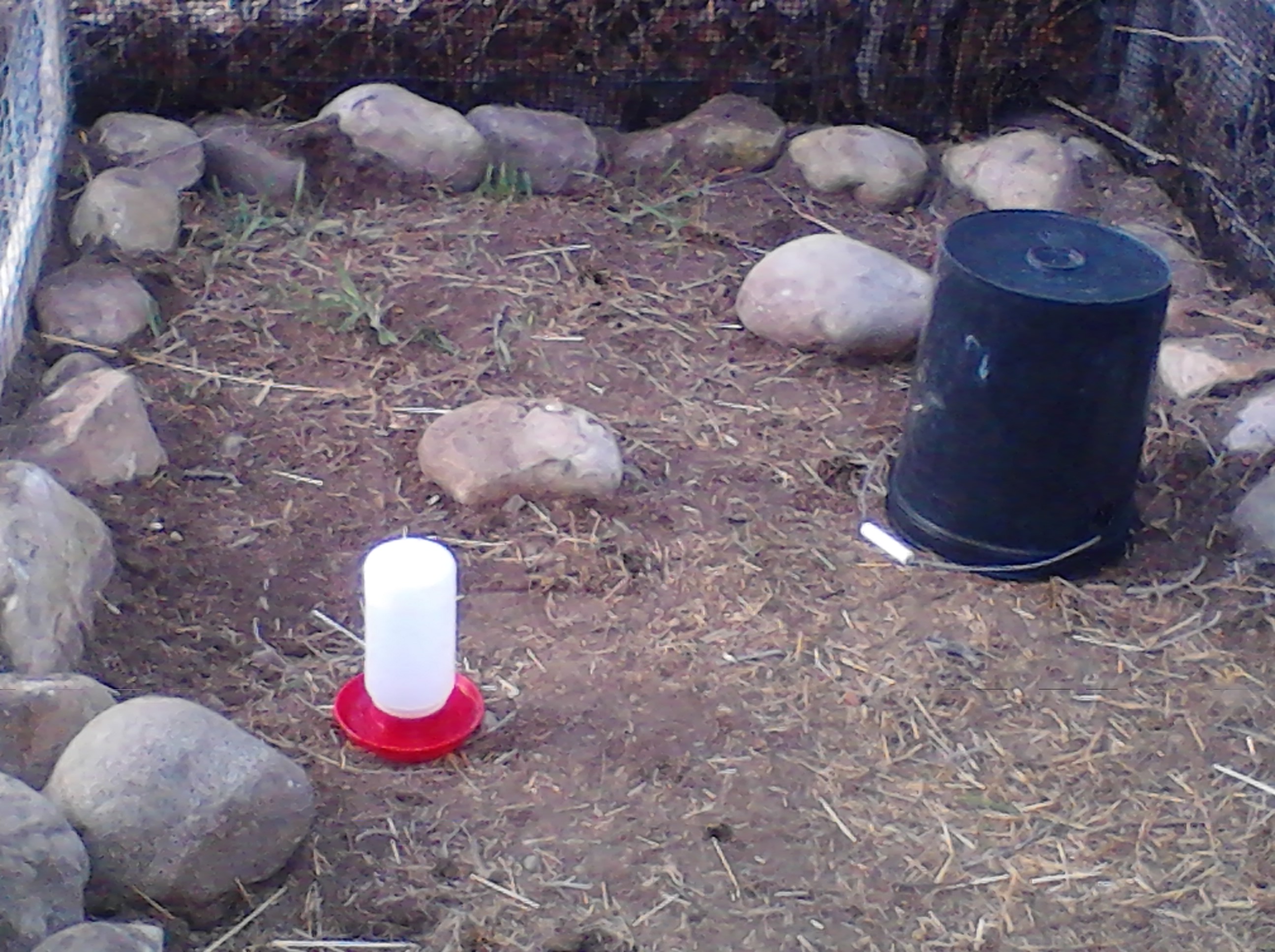 the little girls outside run( the bucket is our chair)