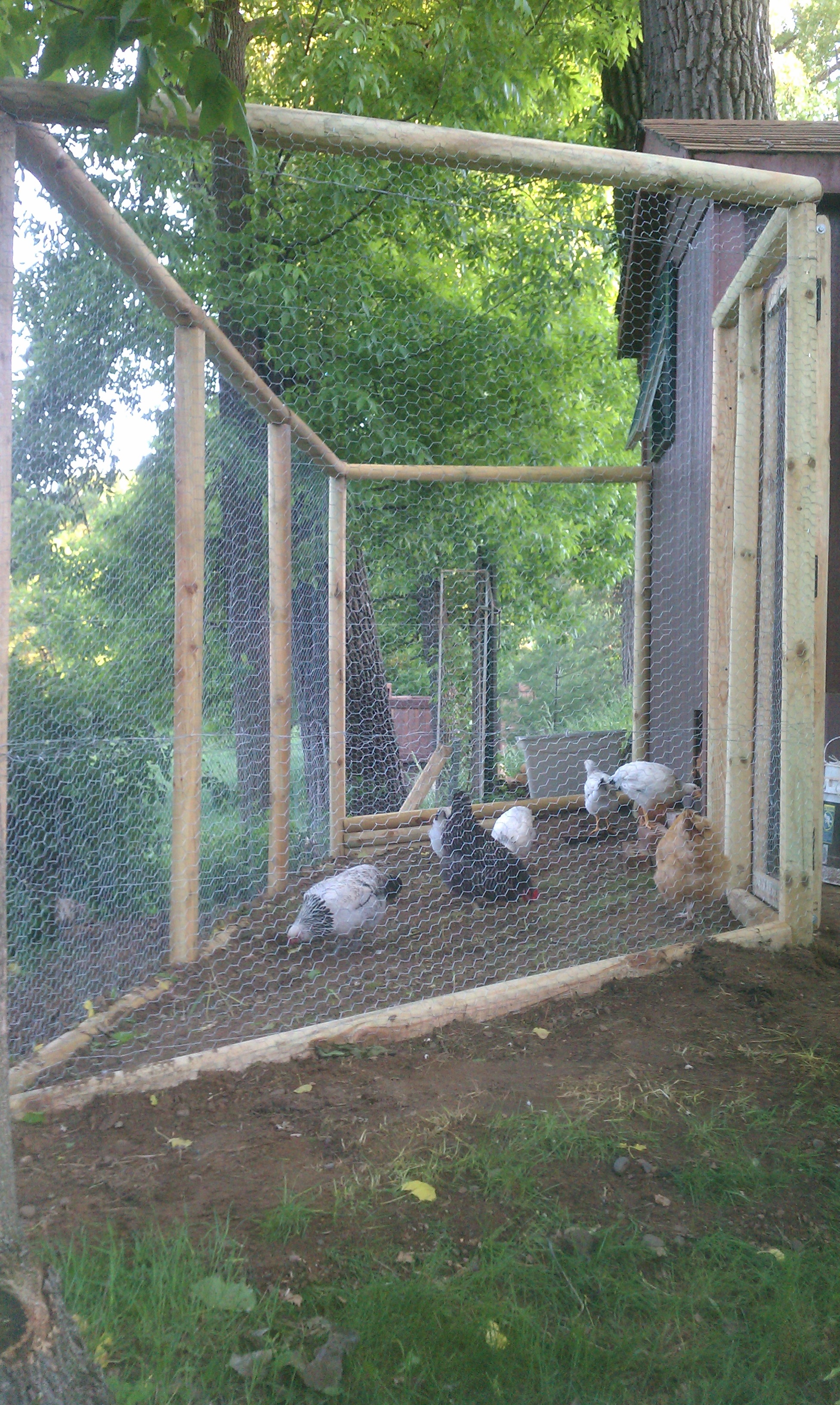 The love it outside. I dont have a top yet, and only let them out when i am home.