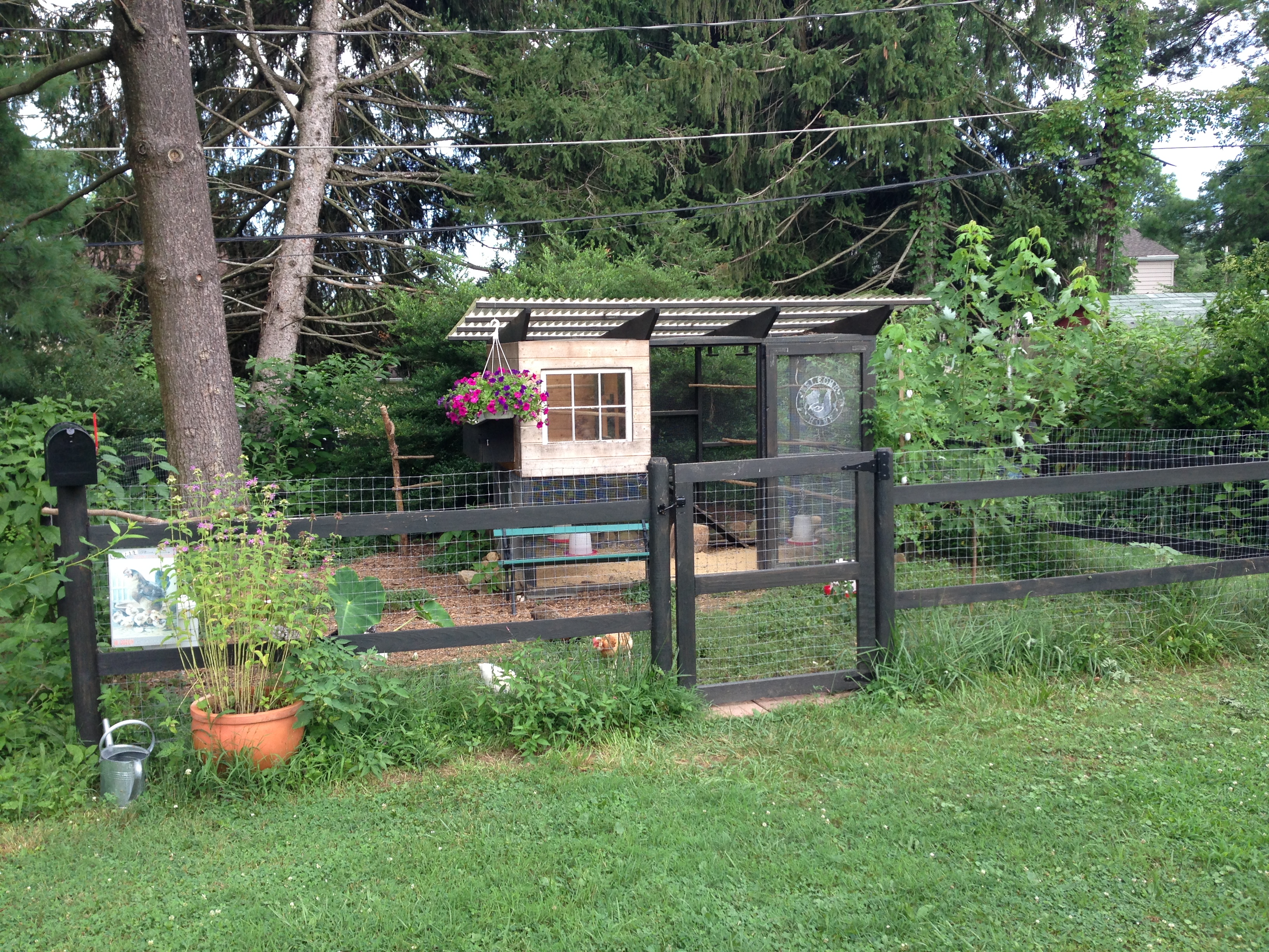 The mailbox in the corner of the fence holds the scratch and treats for easy and quick access. This keeps mice out and the chickens know the sound of opening that mailbox very well and are well conditioned to come running when it is opened :)