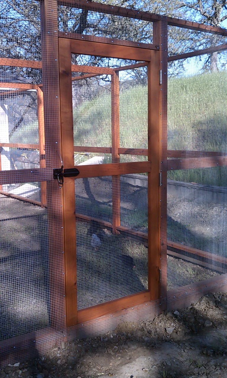 The main door to the run.  I used mortise and tenon joinery to build the door out of redwood 2x4's.
