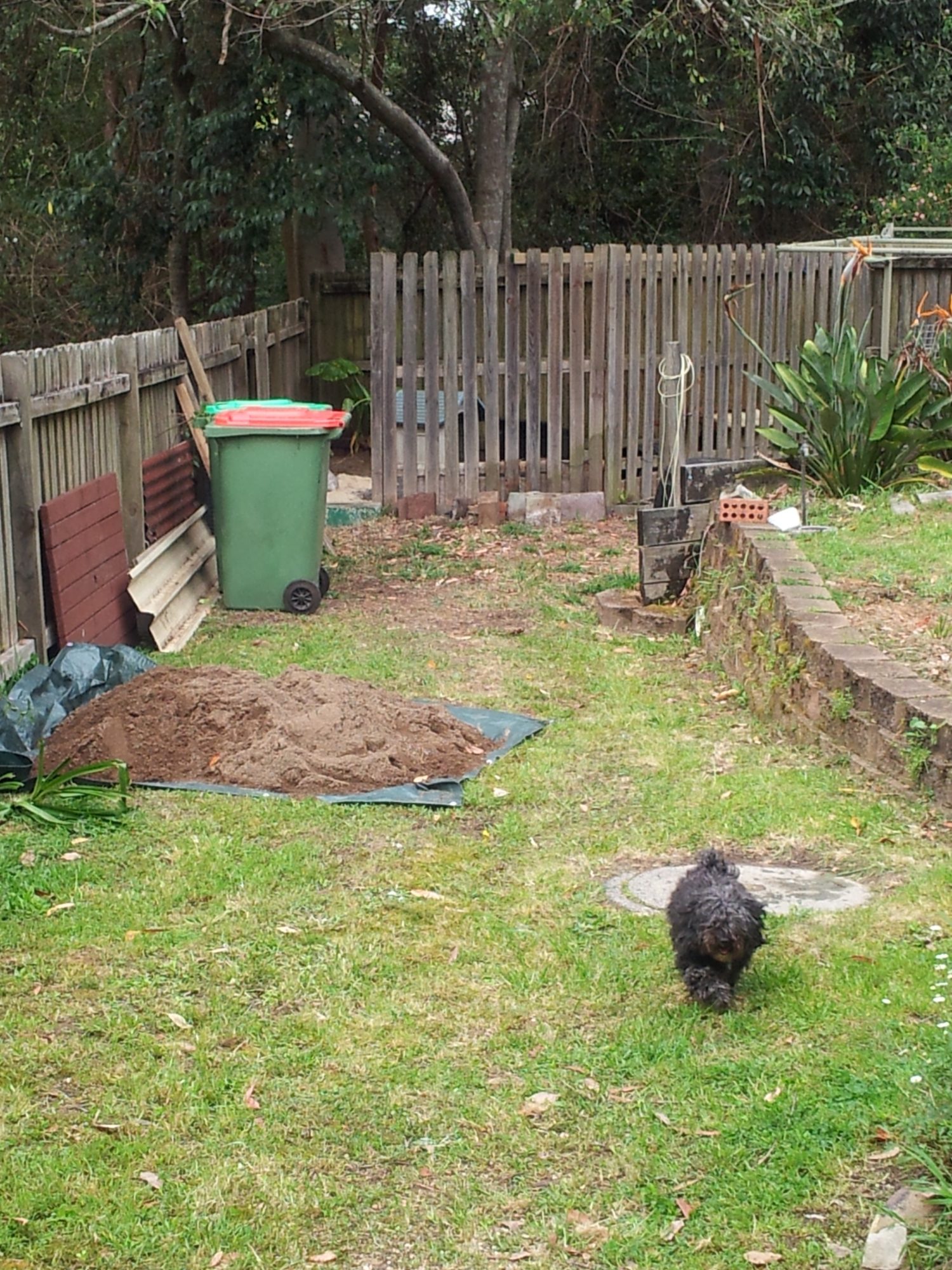 The mess outside the coop as we are trying to get it upto the standard that I want :)
