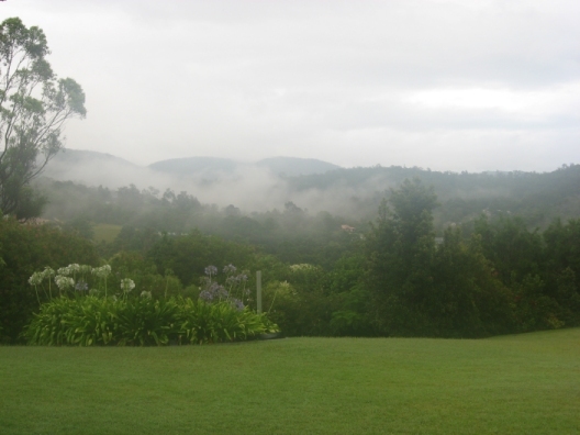 The misty mountains from our backyard in the Gold Coast Hinterlands.