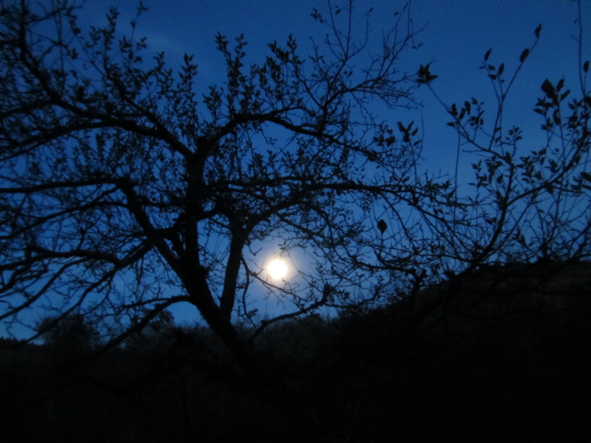the moon