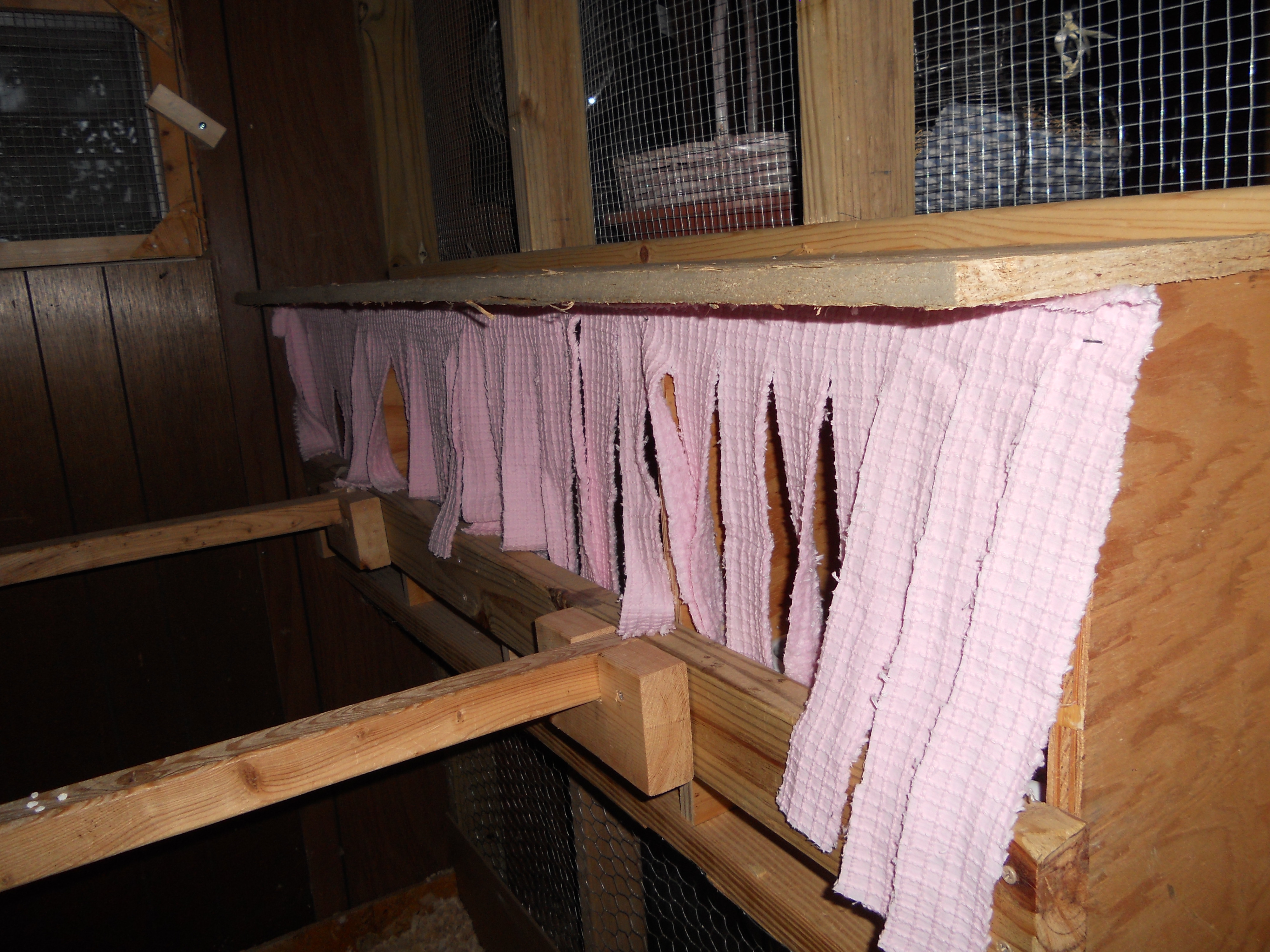 The nest boxes are covered in privacy curtains.