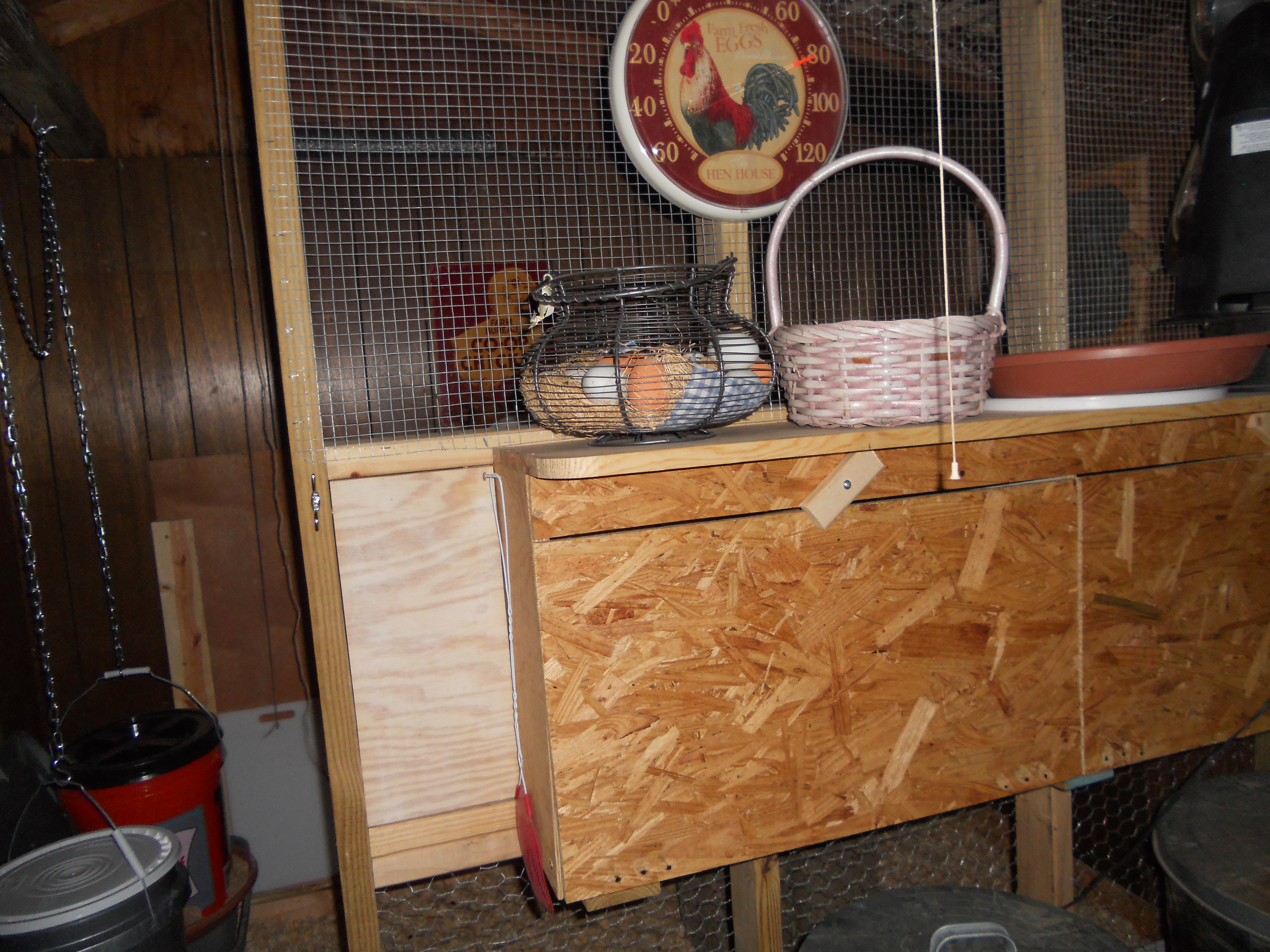 The nest boxes have door I can access from my side with a shelf above it for chicken decorations.