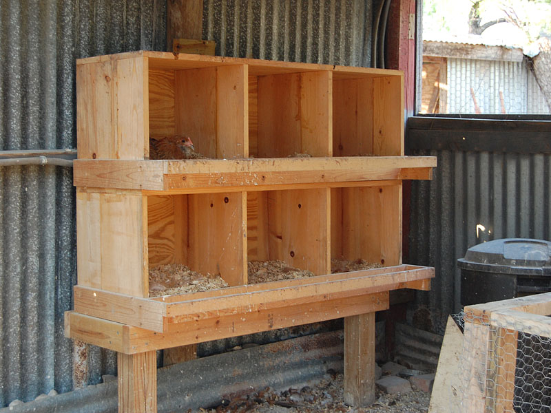 the nest boxes