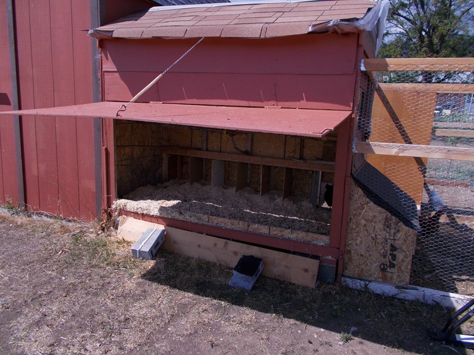 The nesting boxes are in place now.  You can also see in the bottom right of this photo the later addition of a smaller shelter - we ended up with a rooster that is not playing well with the hens - a bit over zealous.  So we fenced in a section of the run, added another door to that section and built him his own little shelter.