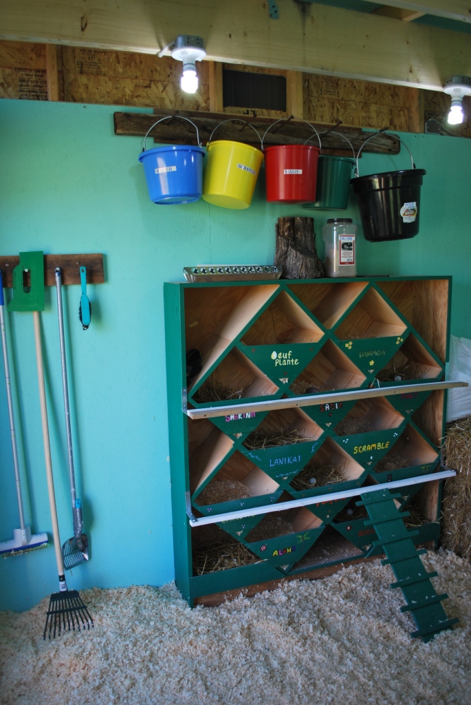 The nesting boxes/wine rack and inside of the coop
I painted the girls names on the boxes too- We named them Sadie, Pumpkin, Henny Penny, Nugget, Lanikai, Aloha, Sabrina, Scramble, Omelette and Bob