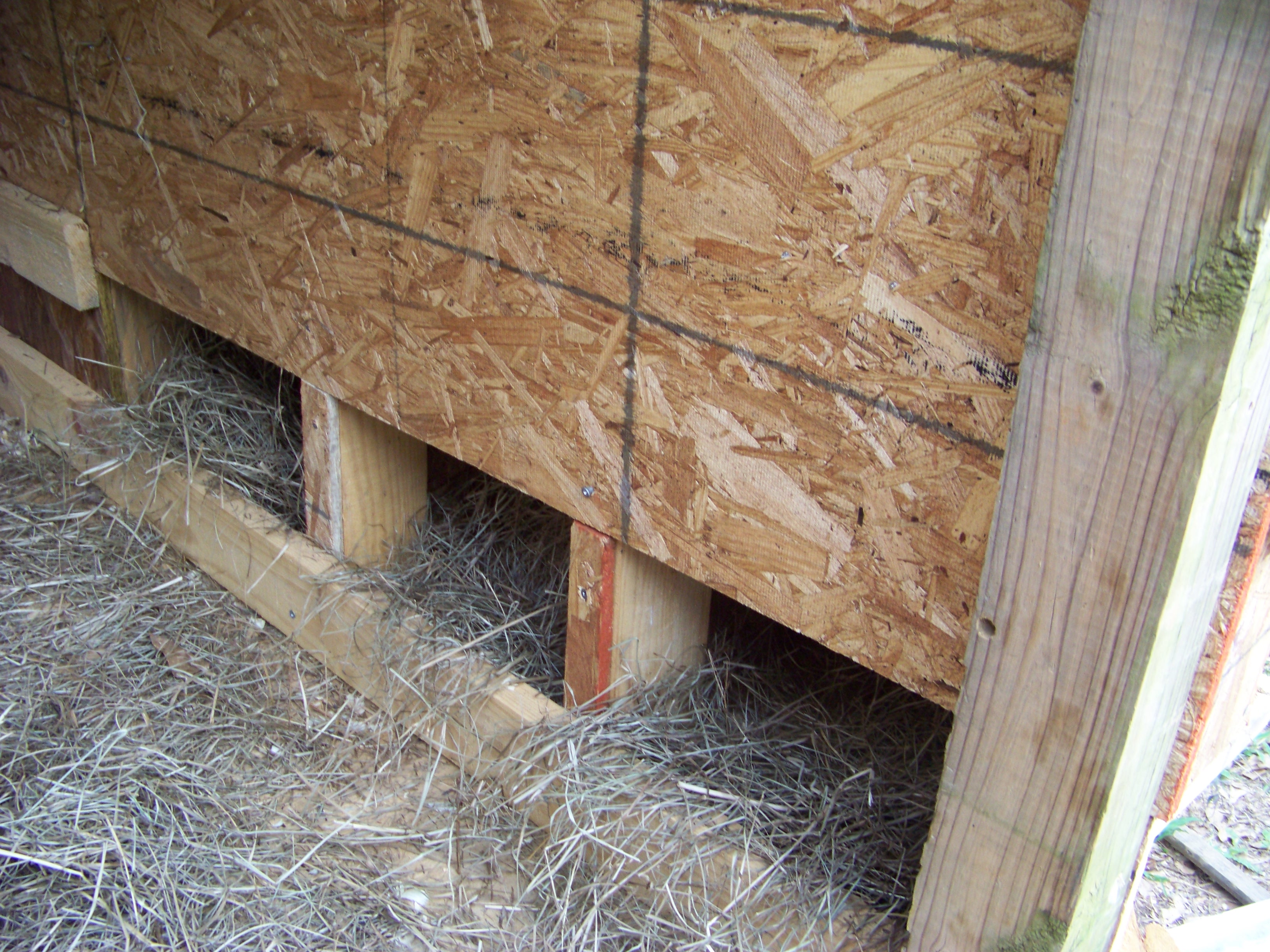 the nesting boxes