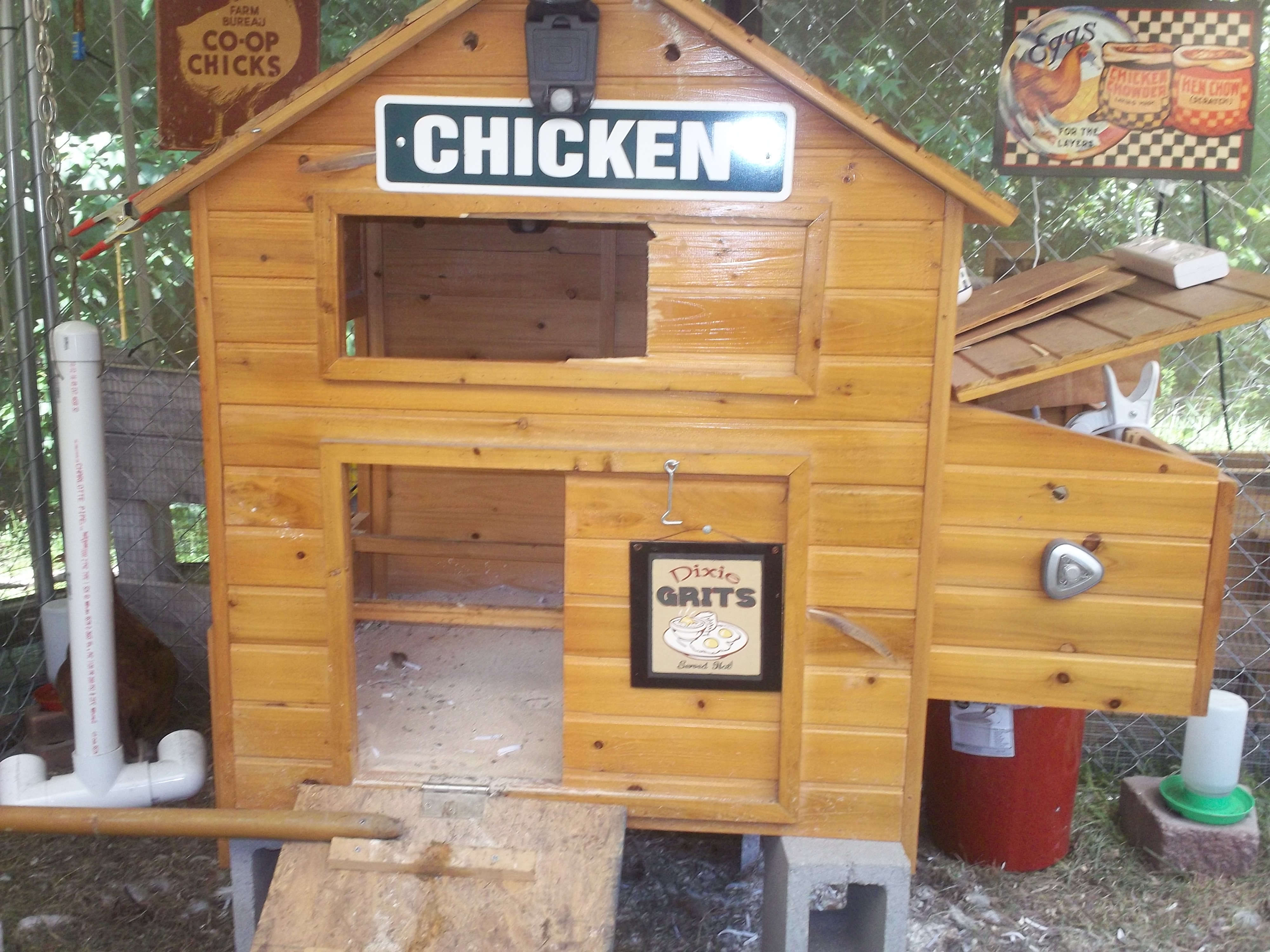 the nesting coop