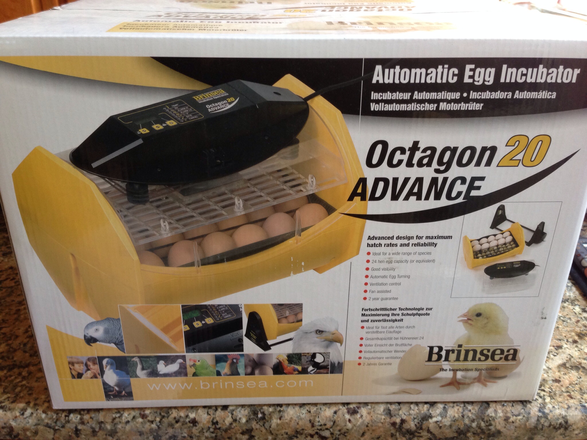 The new addition to the growing hatching obsession.
