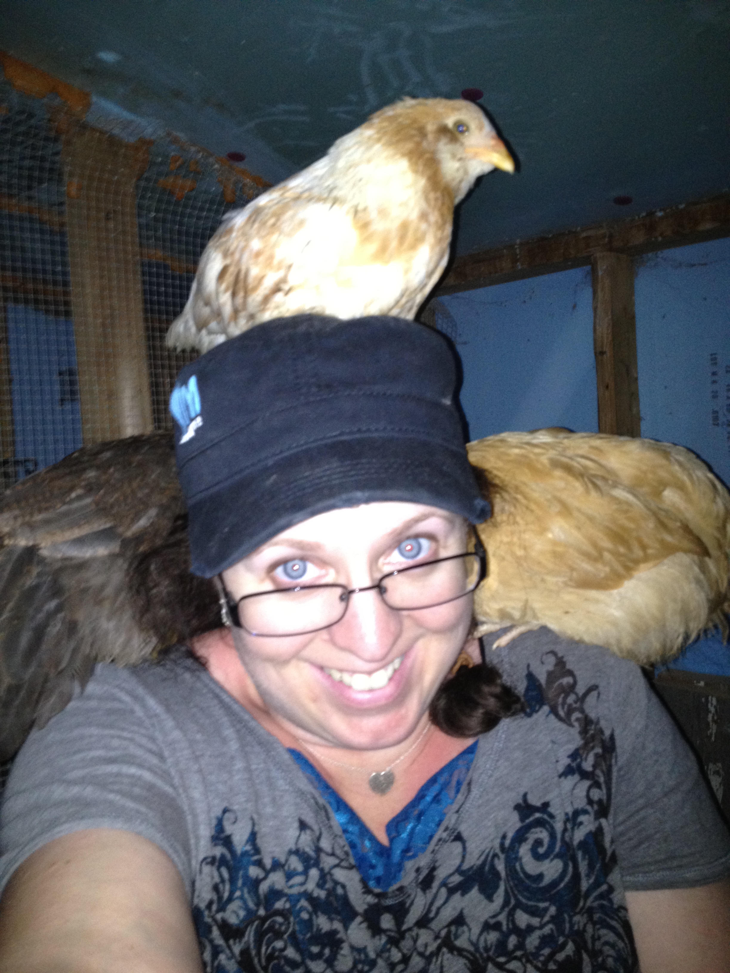The new birds kinda like me