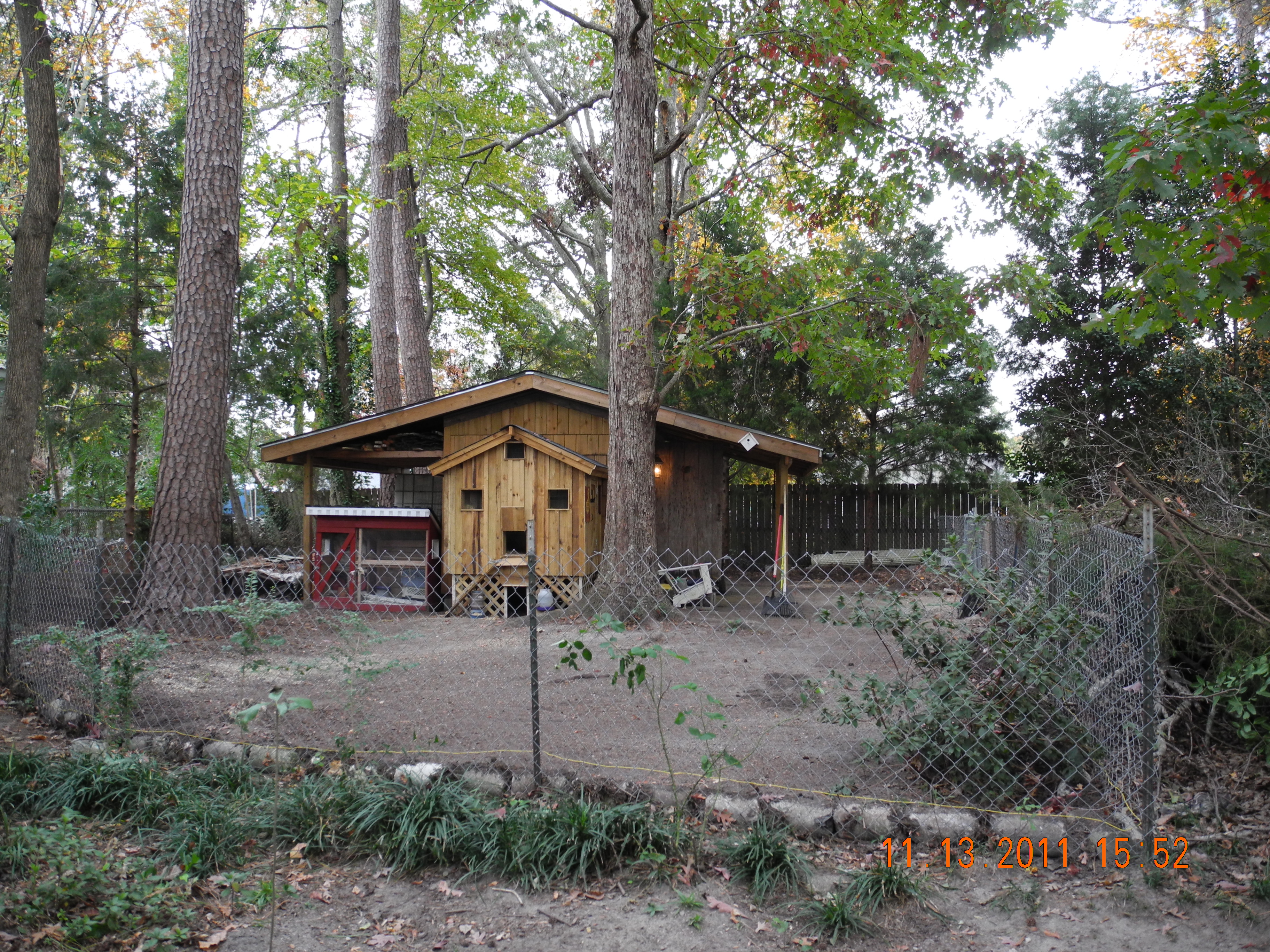 The new coop and chicken yard.
