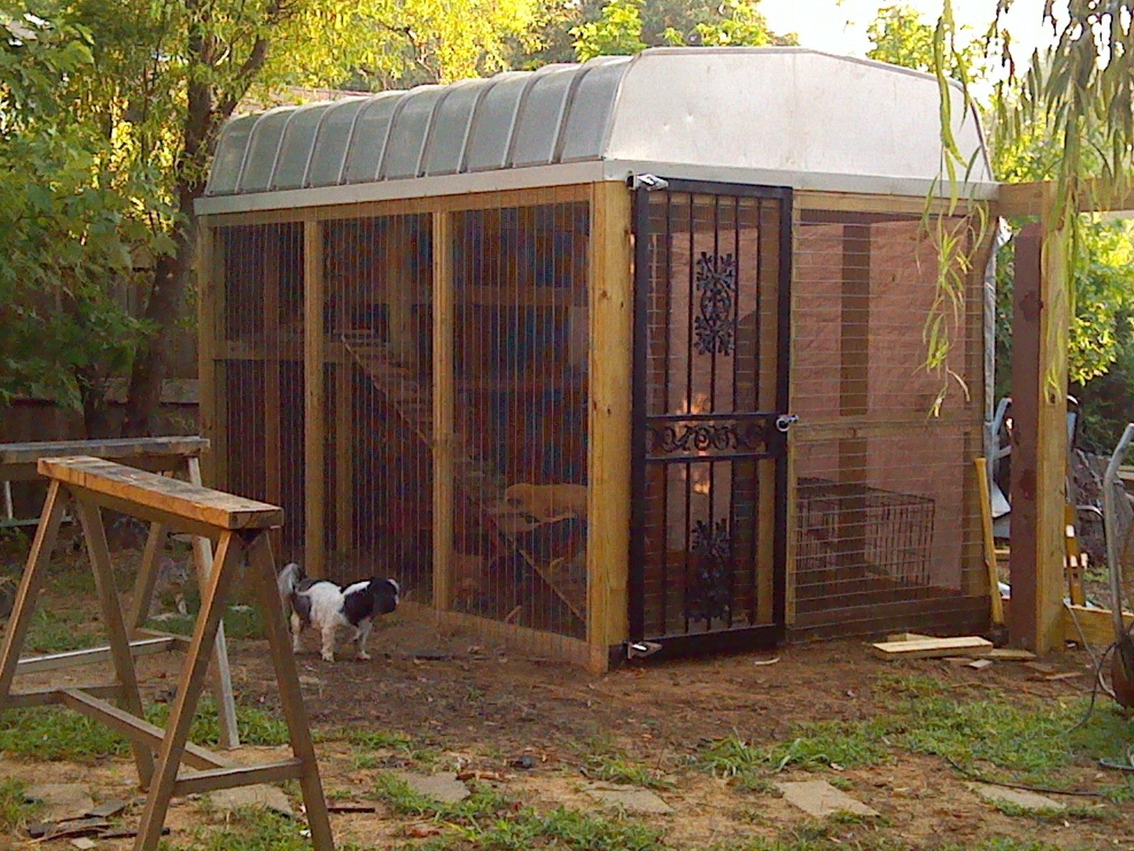 the new coop and miss pepper