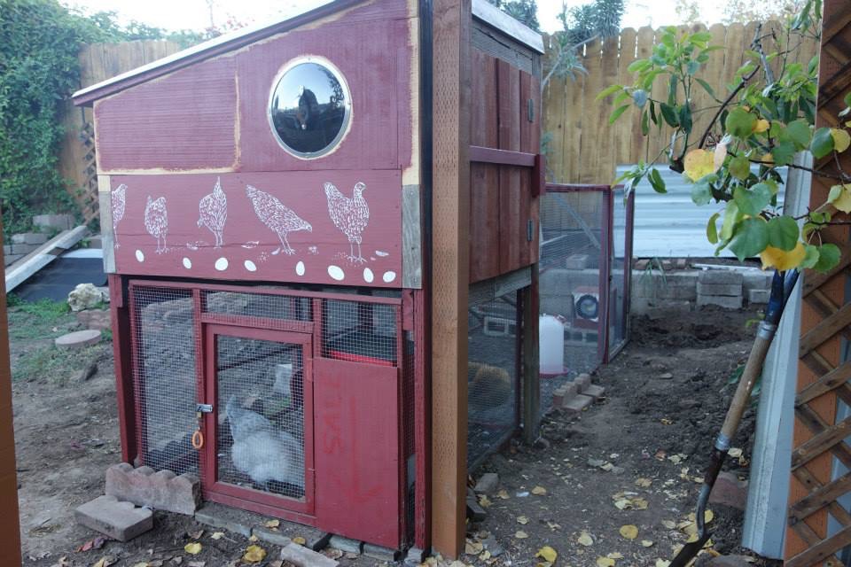 The new coop is all sealed up! Also, the posts for the door to the chicken yard are in.