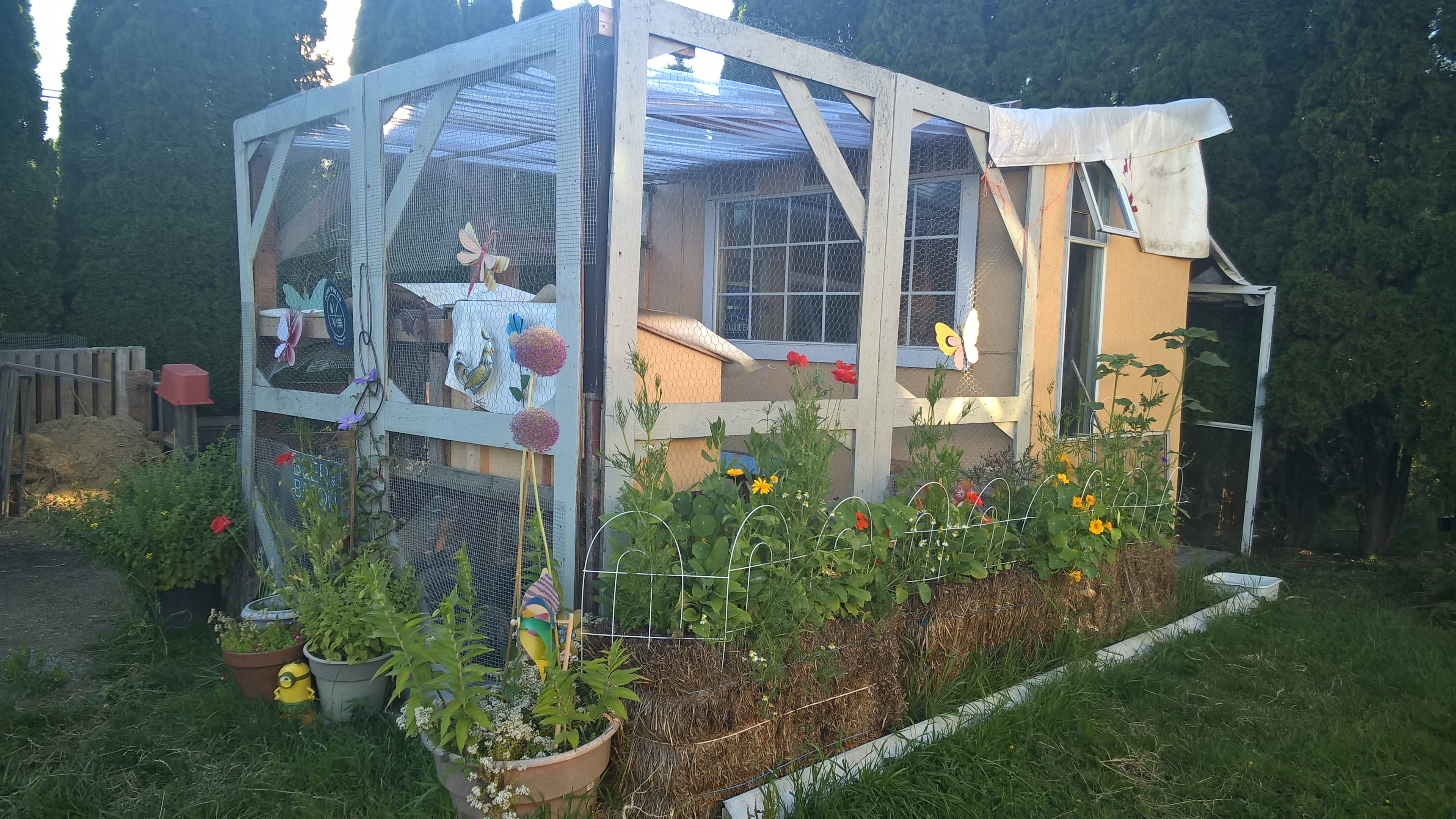 The new coop....just need to finish the roof and create a better  run roof