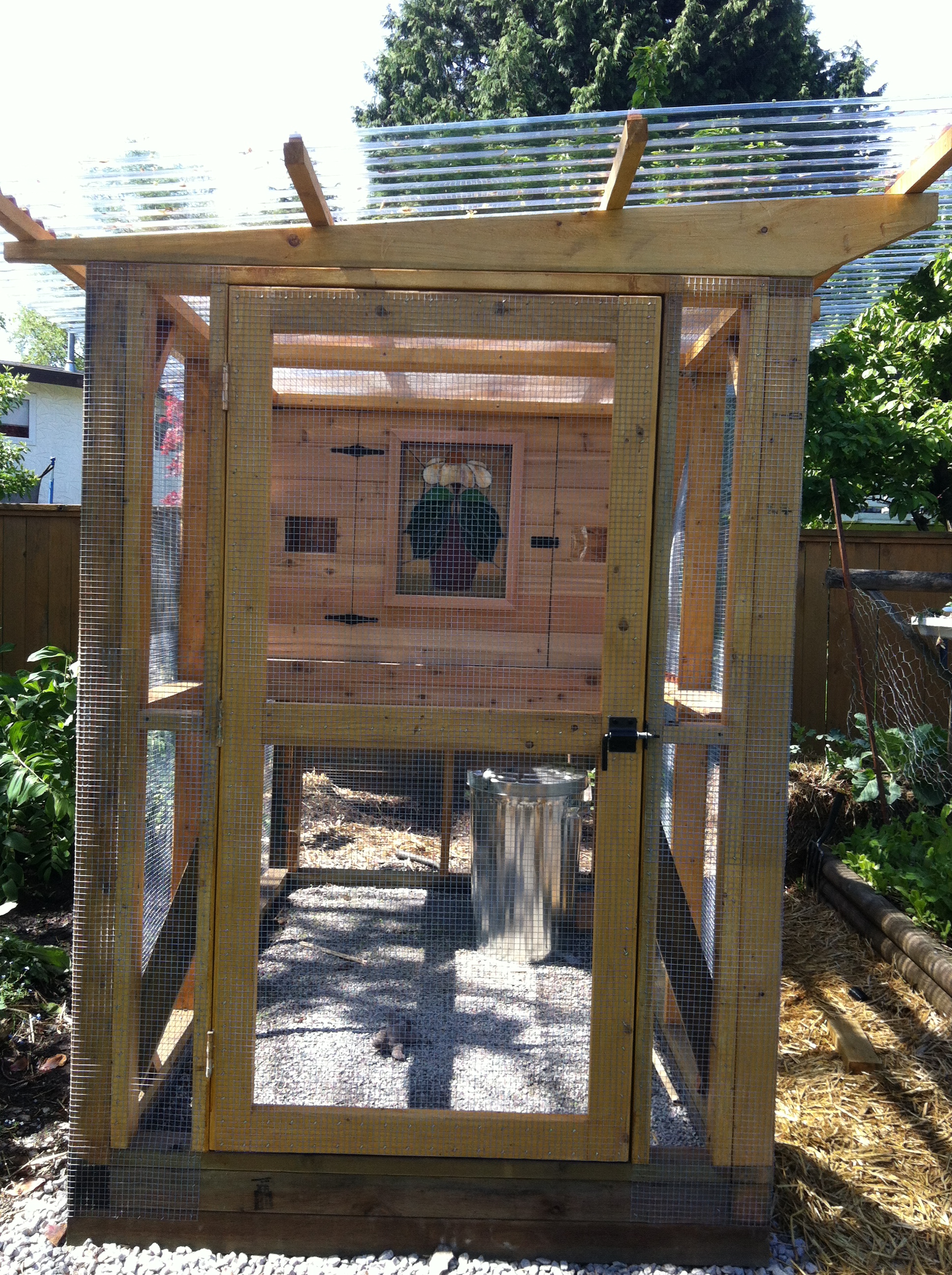 The new coop!