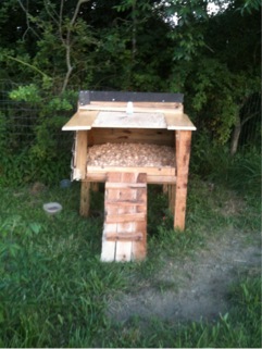 The new duck house!