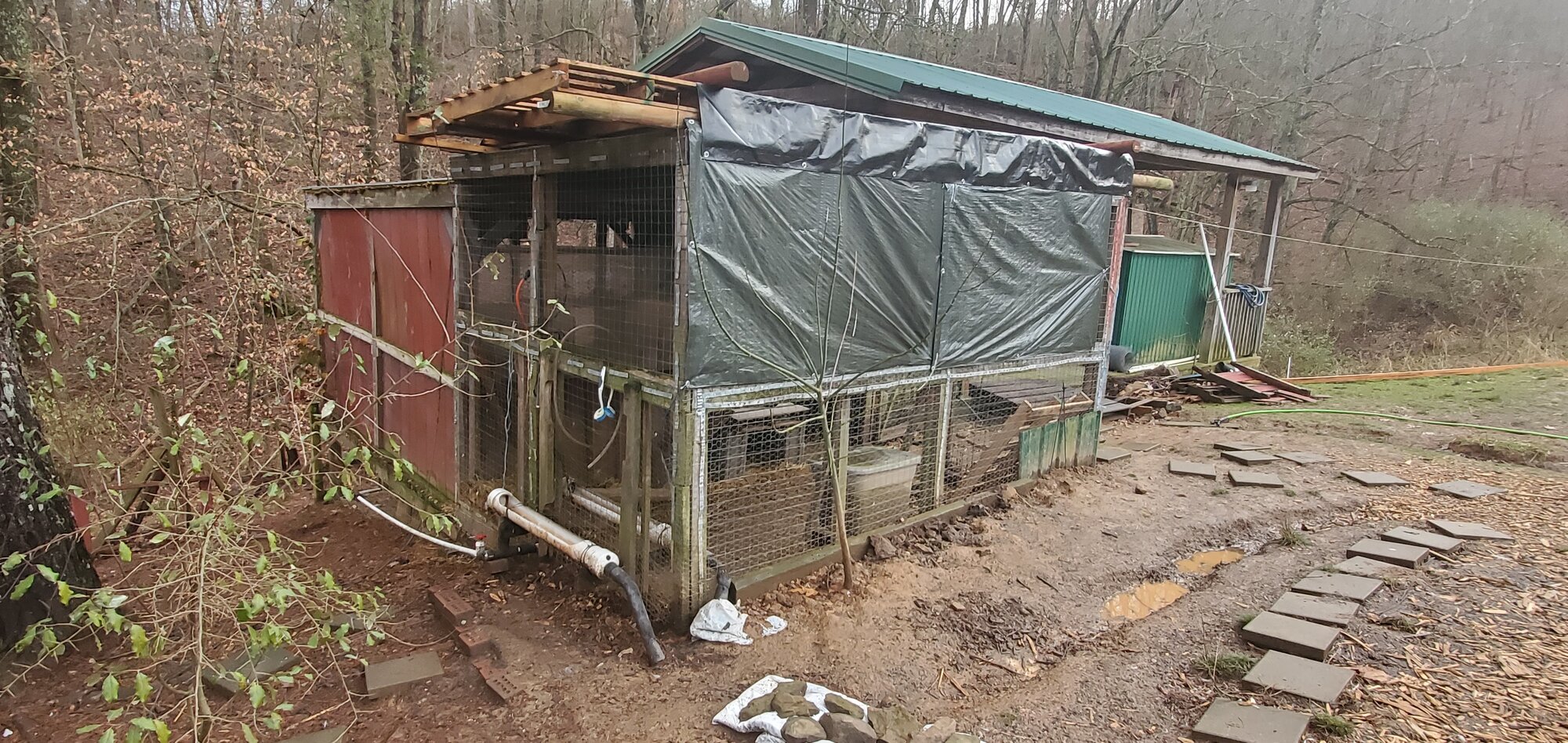 The new duck-run roof