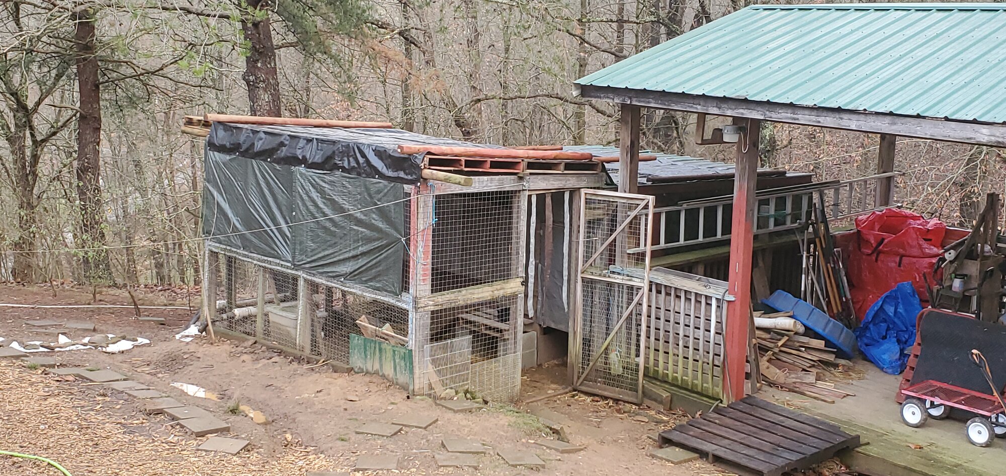 The new duck-run roof
