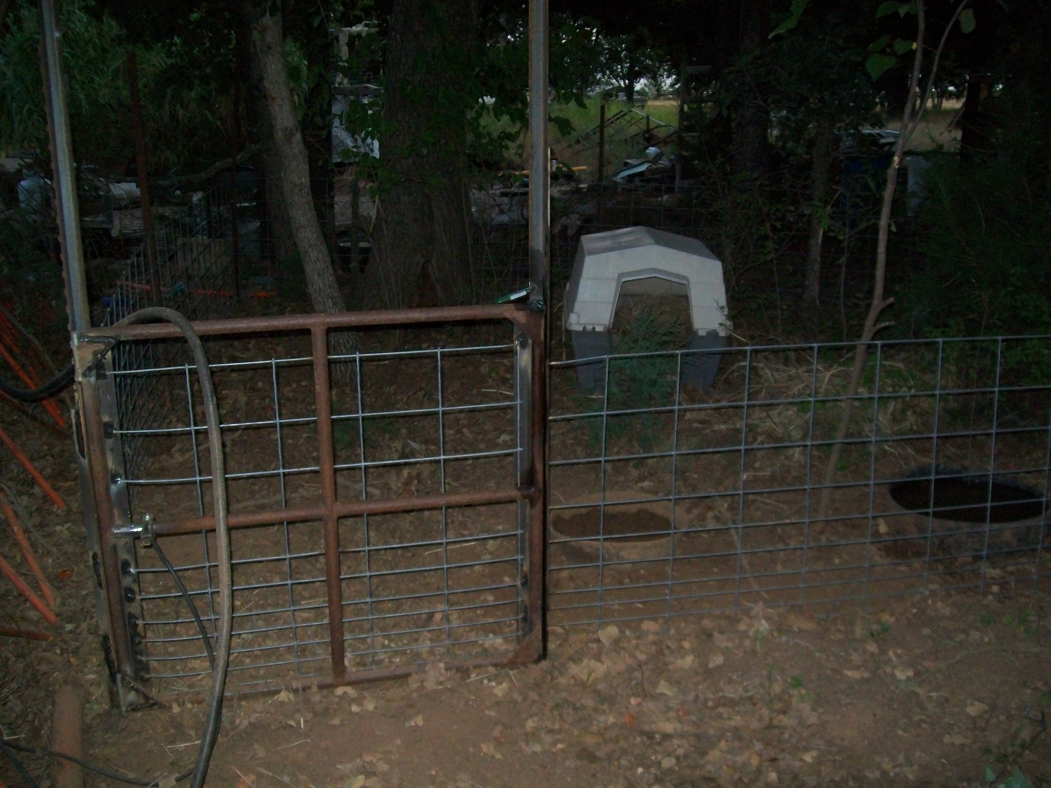 The newly completed piggy pen when the babies are gone this will Mom and Dads new home minus the dog house of course the boar would destroy it in minutes LOL