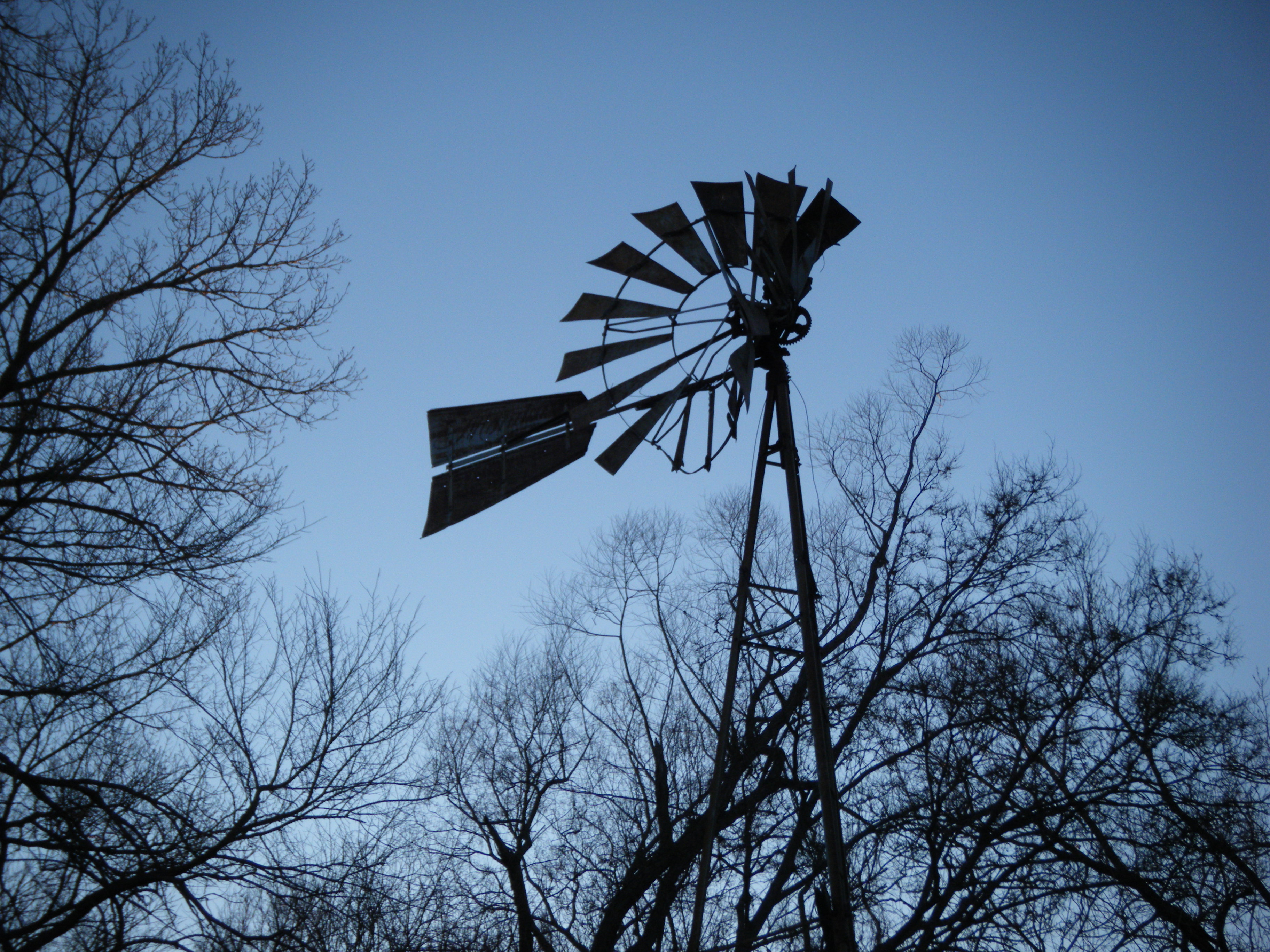 The old windmill on our property.