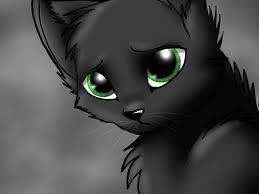 The one and only..... RAVENPAW!