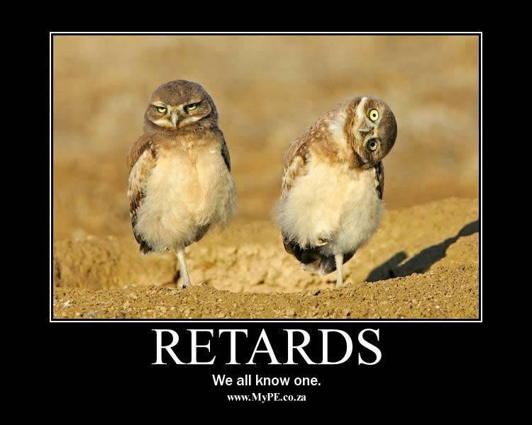 The one on the left if my DH. He gets that look on his face often. Especially when I bring up the subject of poultry.