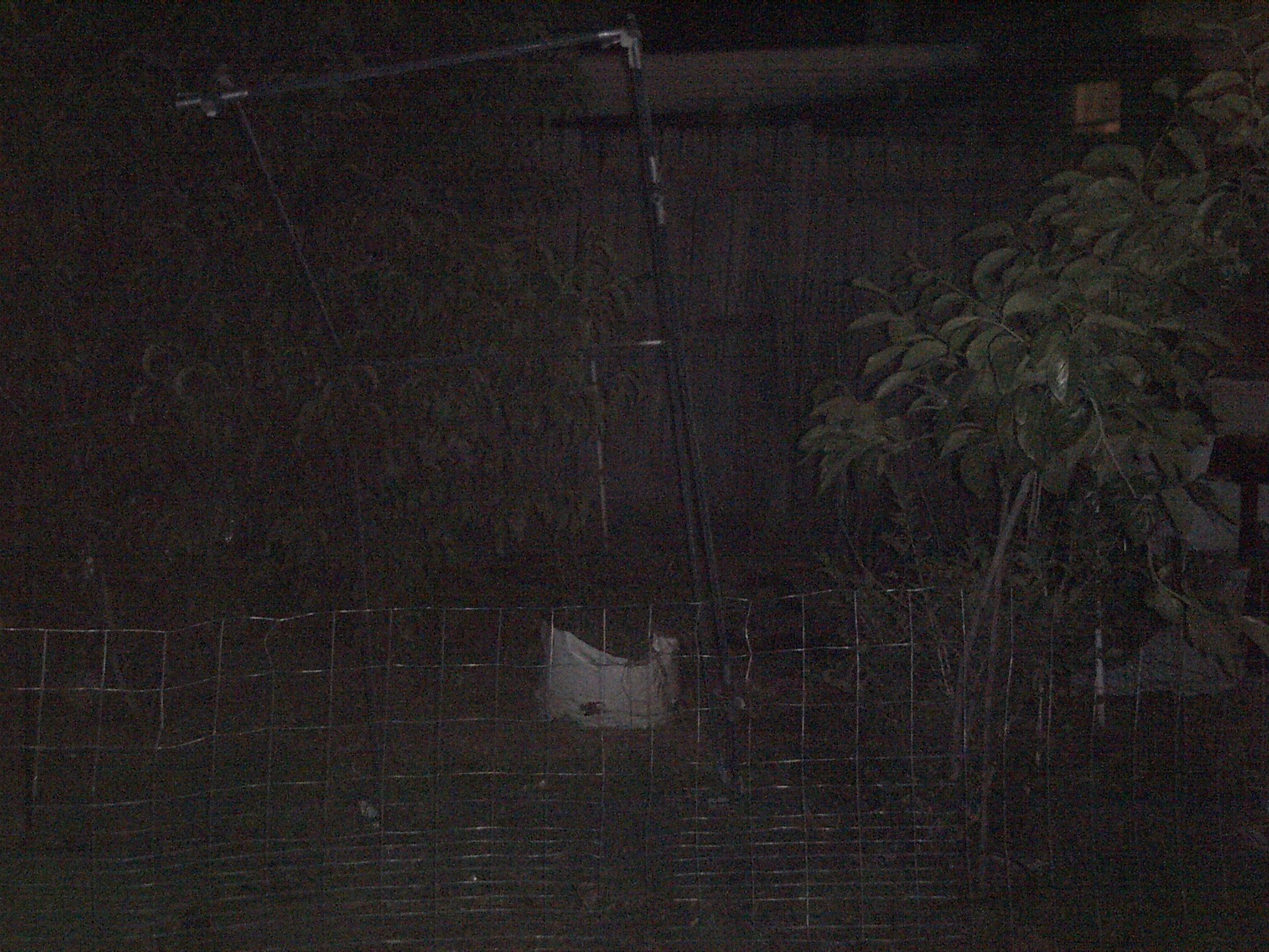 The orginal bondery of my garden aera was to the left of the peach tree the tree on the left