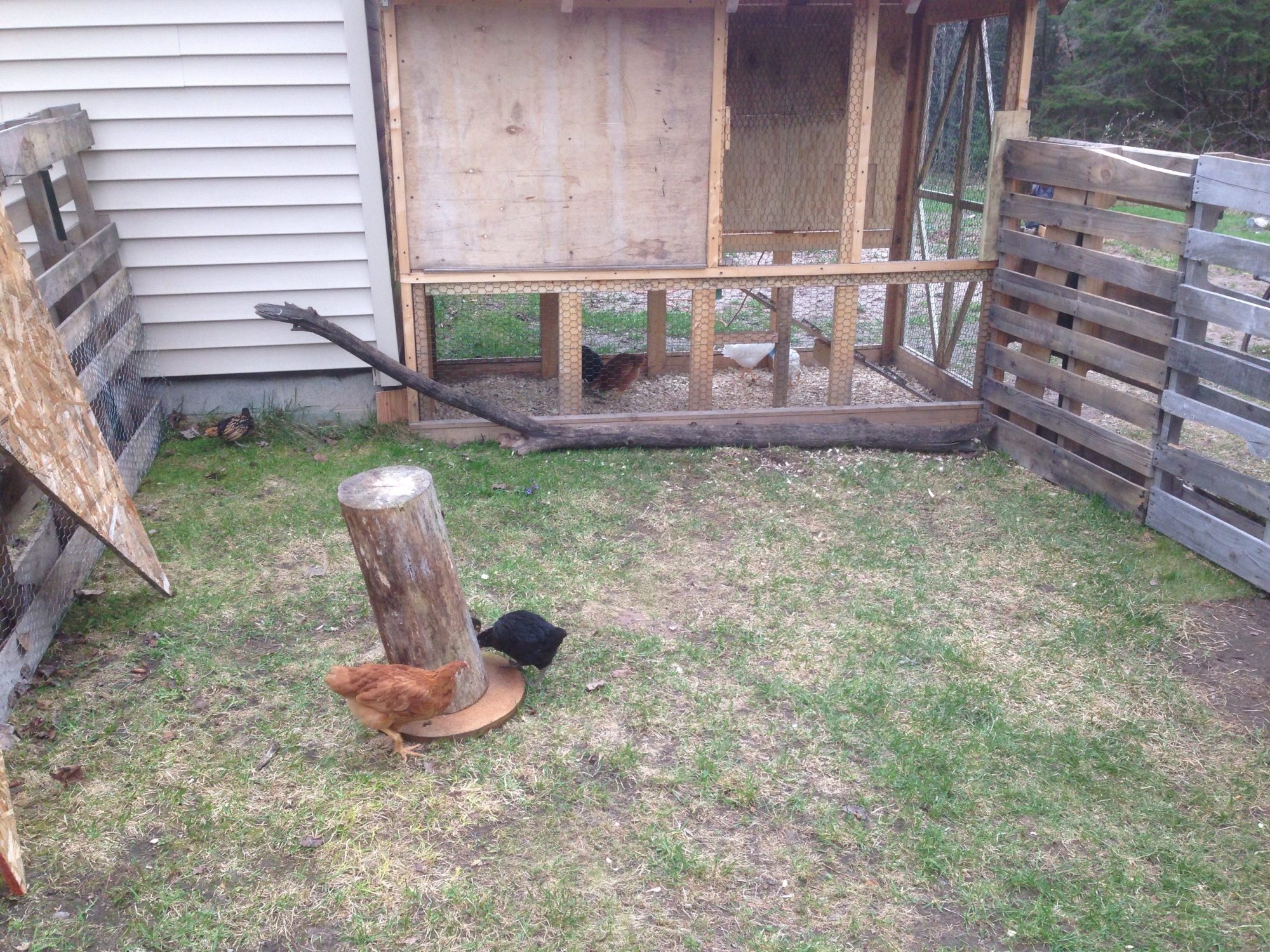 The original coop.