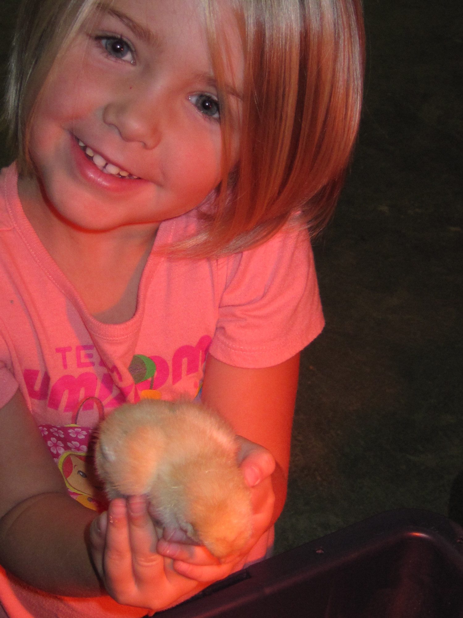 The other BO Ginger at 1.5 weeks