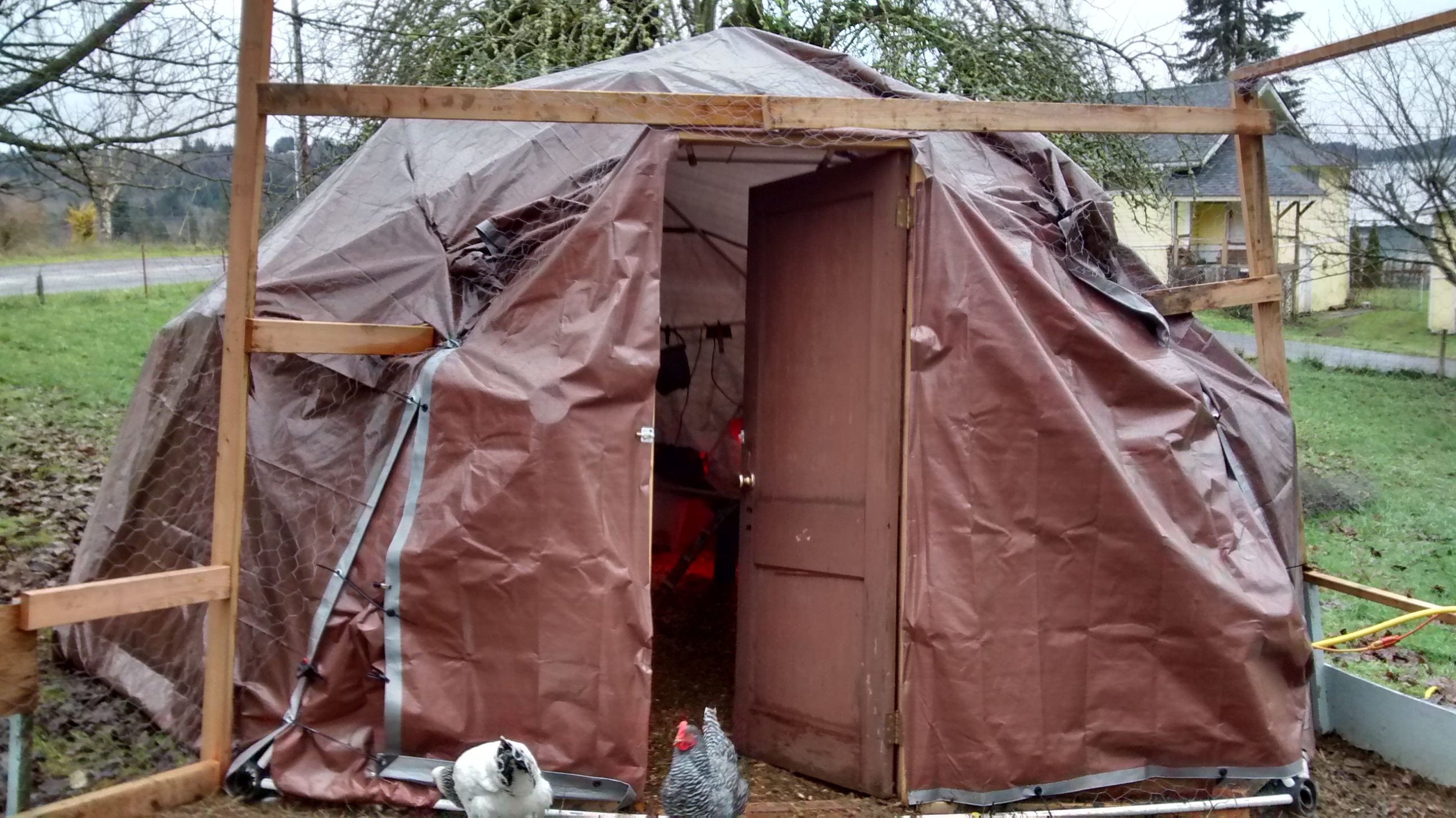 the outside of my coop