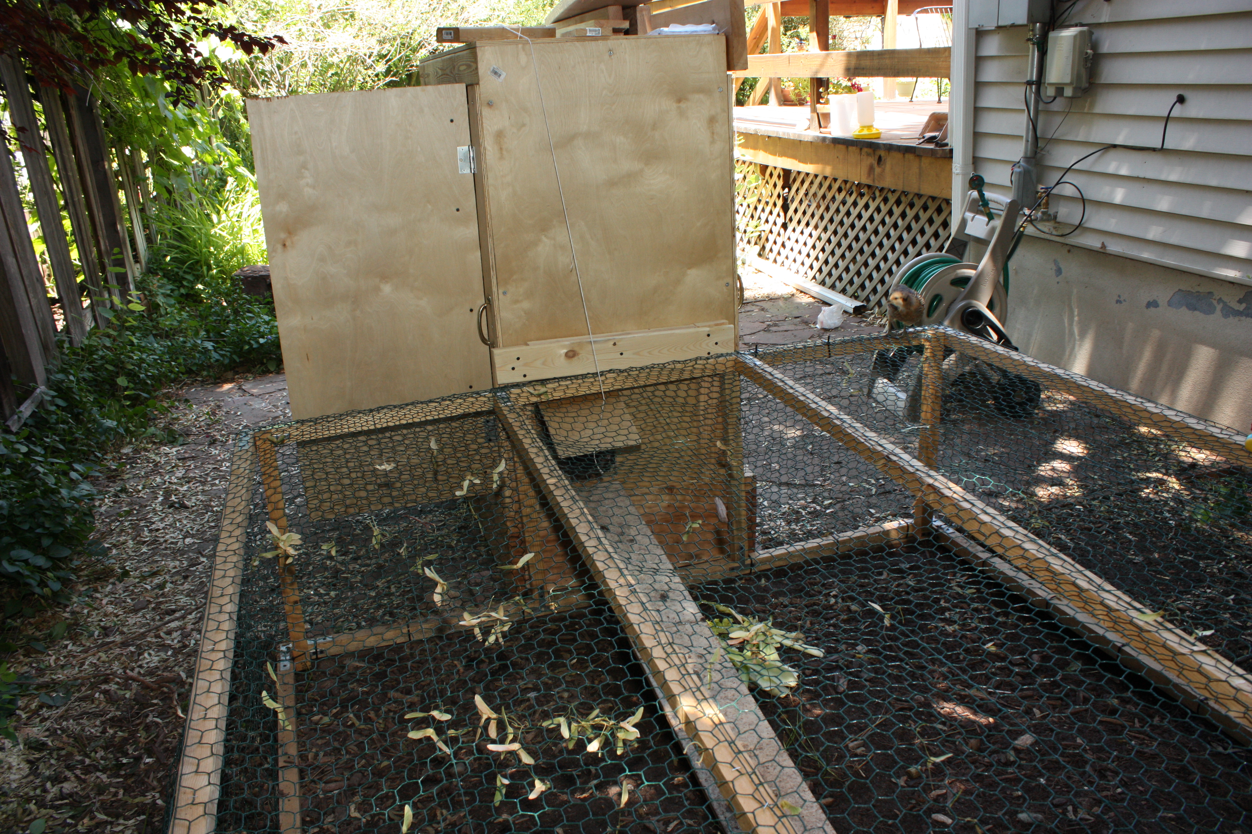 The pen is 6' x 6'.  The interior is approximately 2' high.  It is assembled with 2" x 2" beams and chicken wire.  The floor of the pen is open.  The swinging gate is removed and the pen is pressed against the cabinet.
