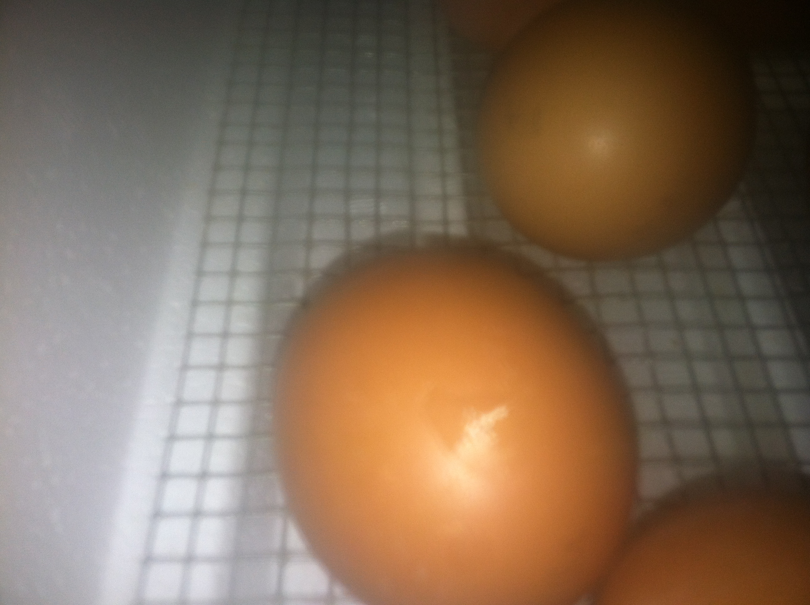 The pipped eggs