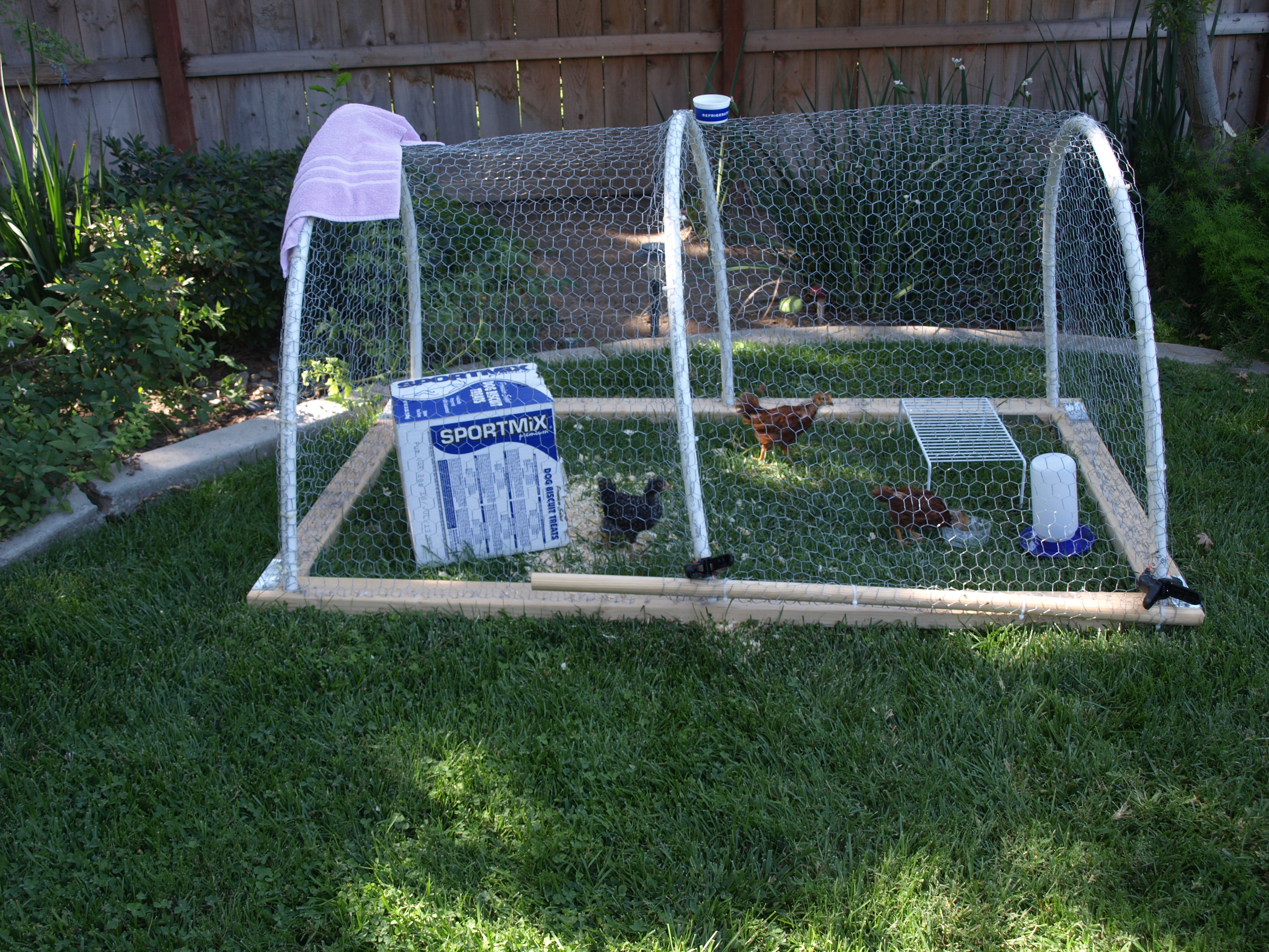 The play pen and the first outing