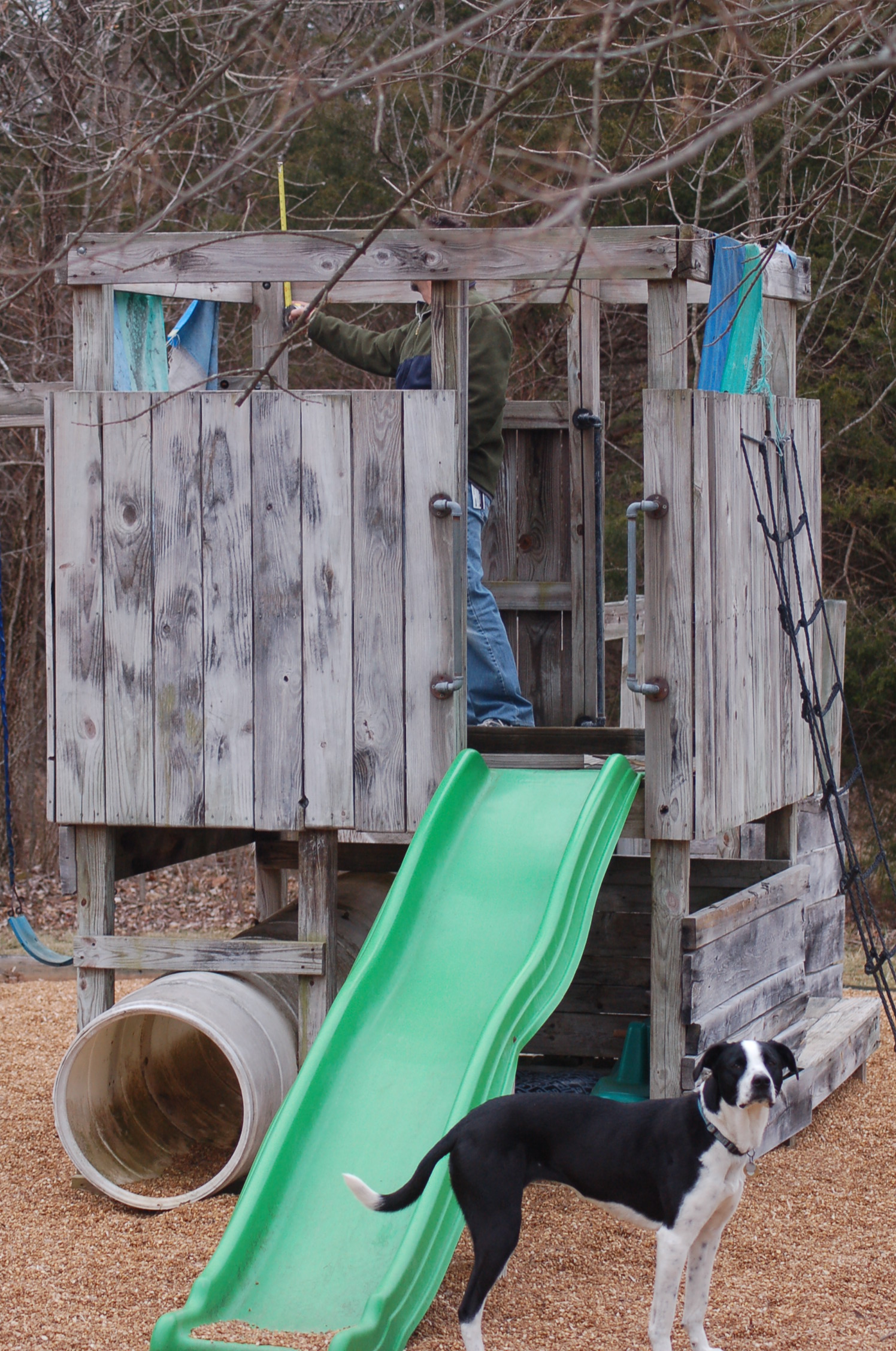 The playhouse before the remodel...didn't think chickens like to slide so it had to go!