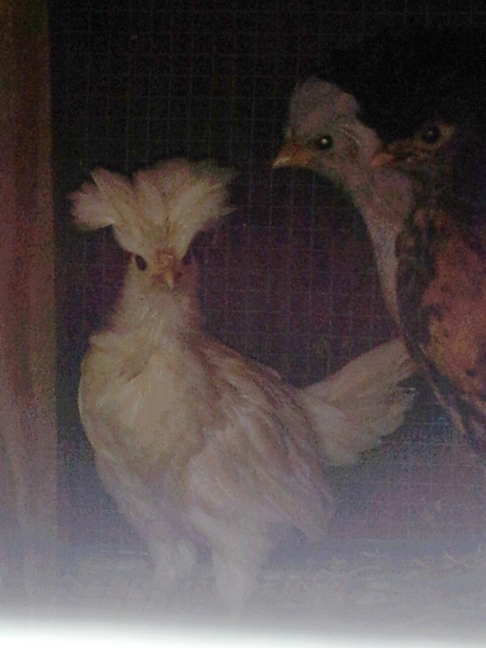 The polish punk rockers at 1 1/2 months