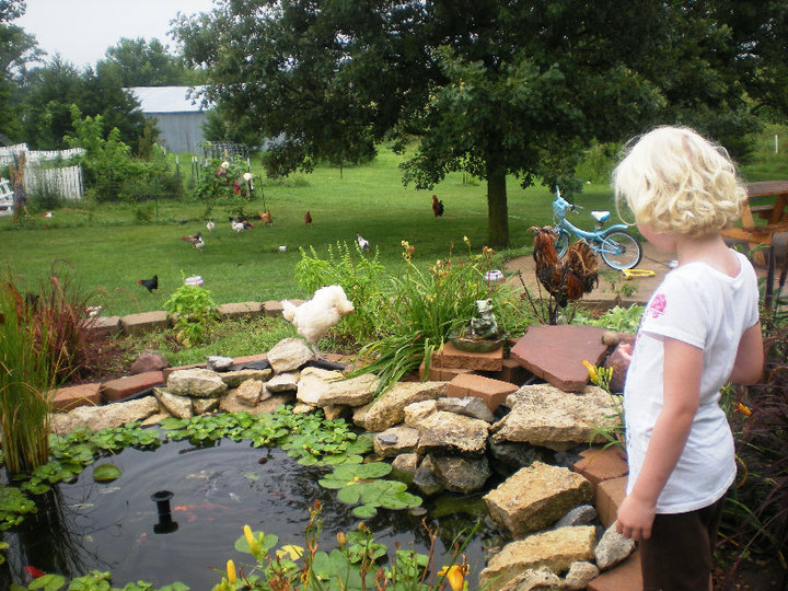 The Pond