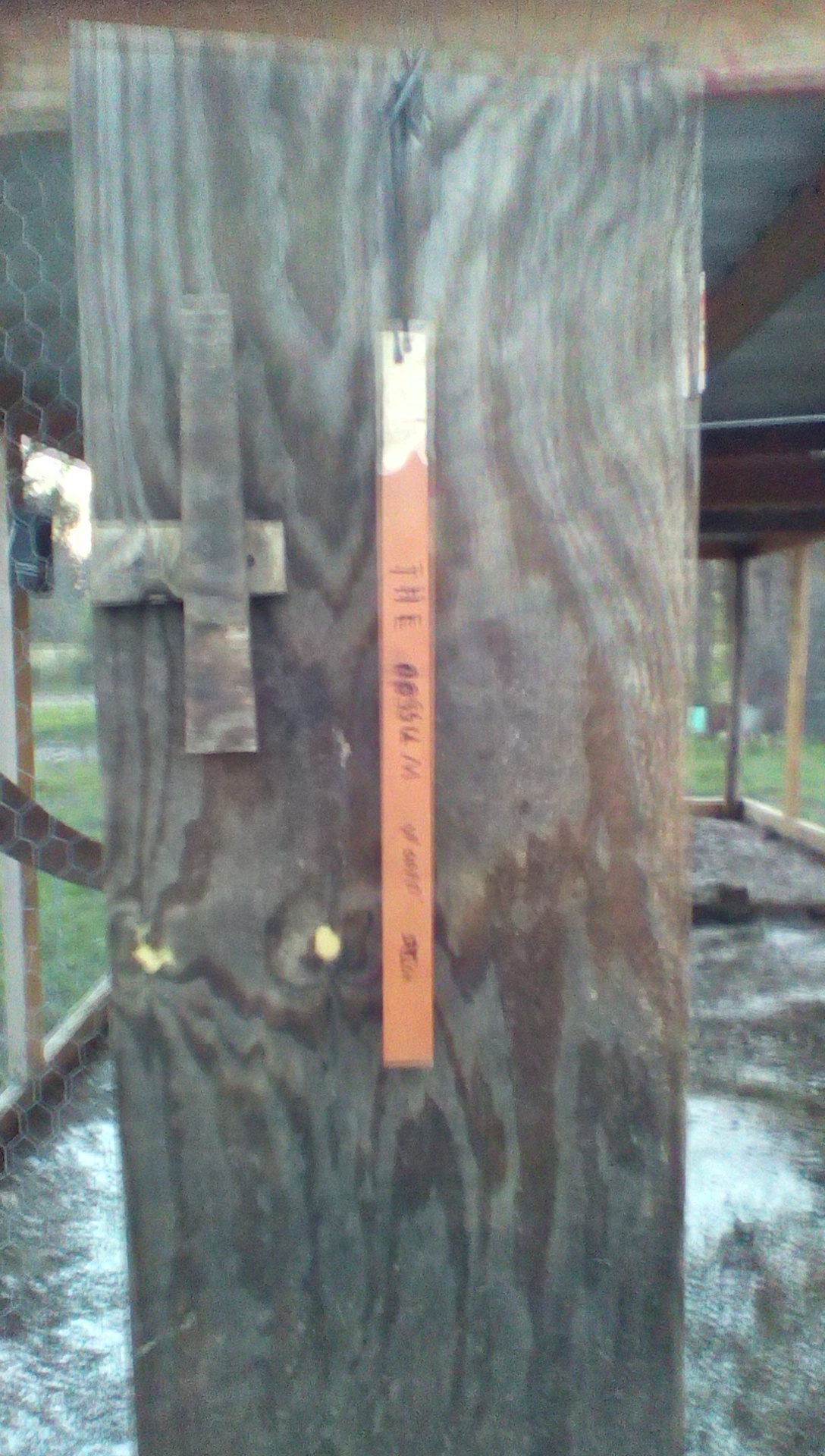 The possum woopin' stick