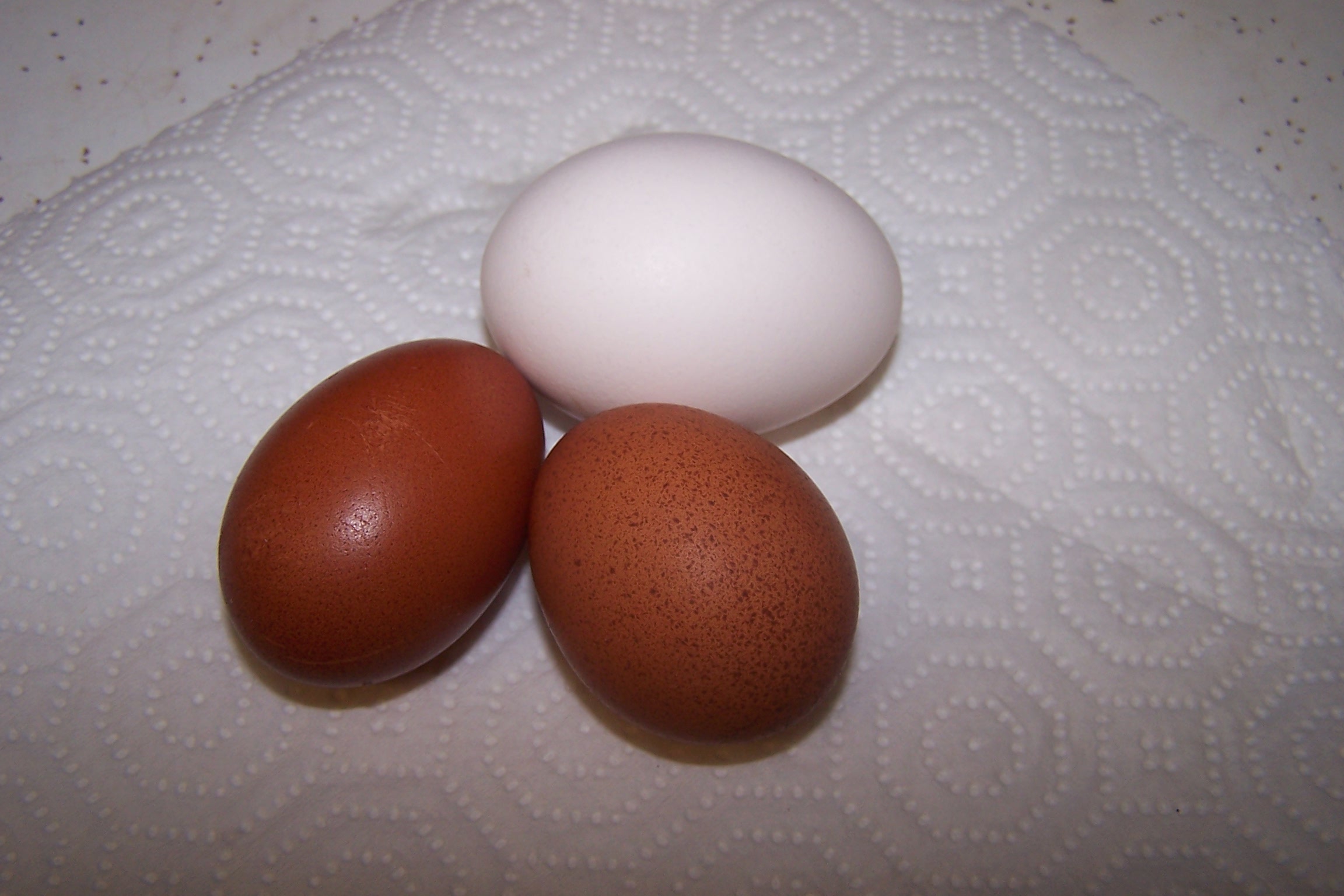 The pullet Marans eggs...about a 5 and 4 respectively on the Marans scale