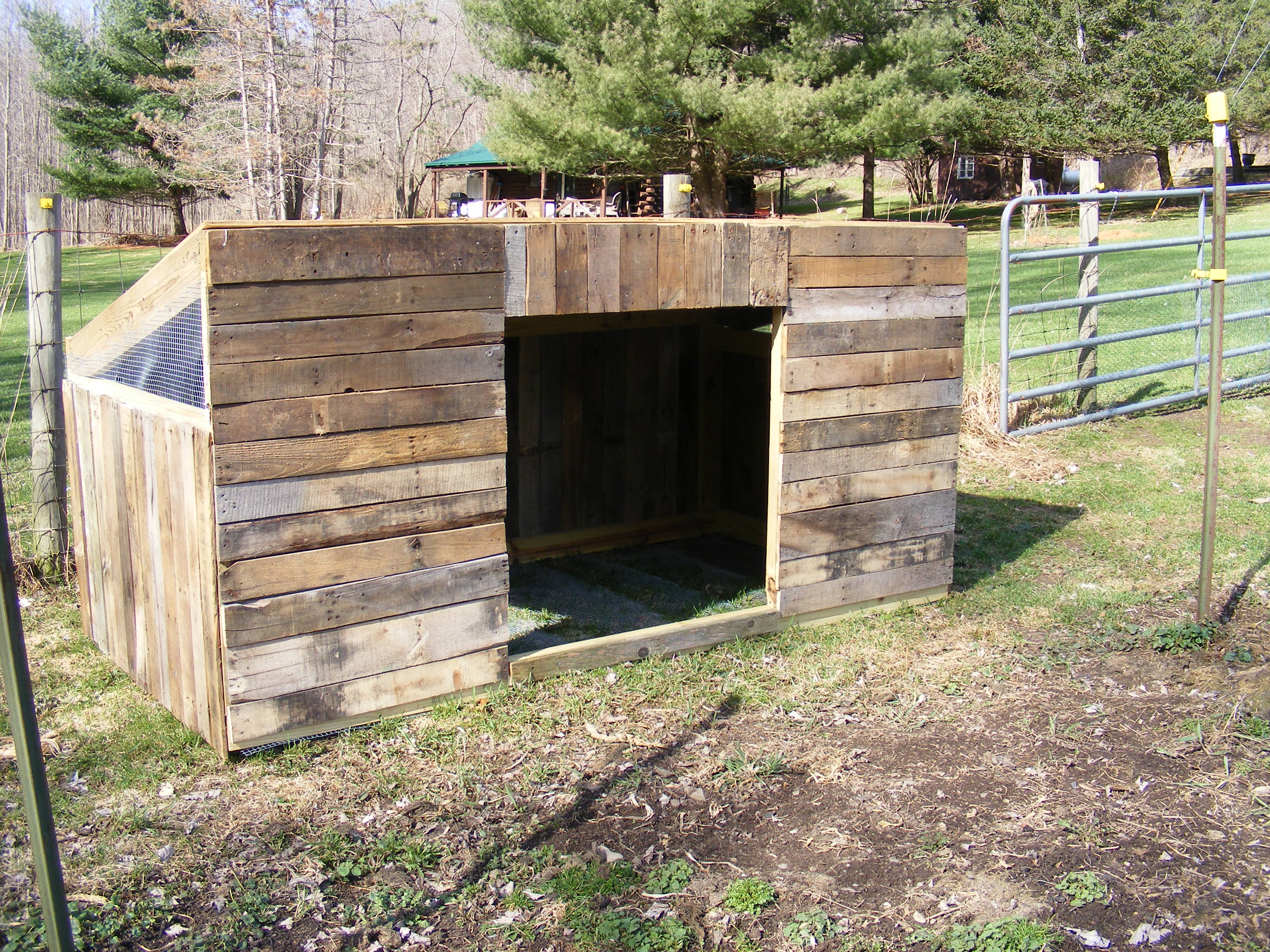The 'Quack Shack' - now all I need is ducks!!  Not quite finished, need to get a good roof on.