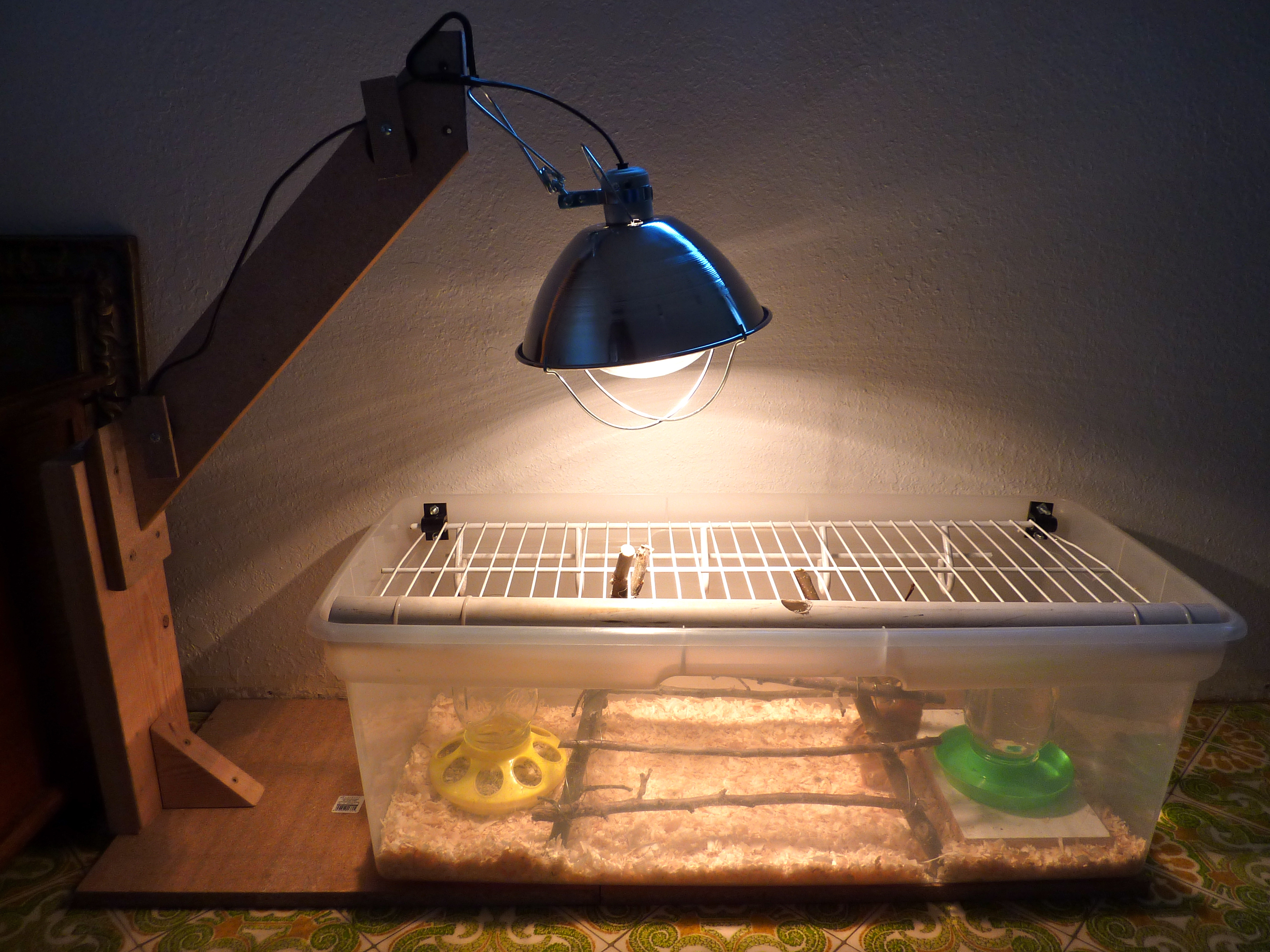 The rad chick brooder my hubby set up.
