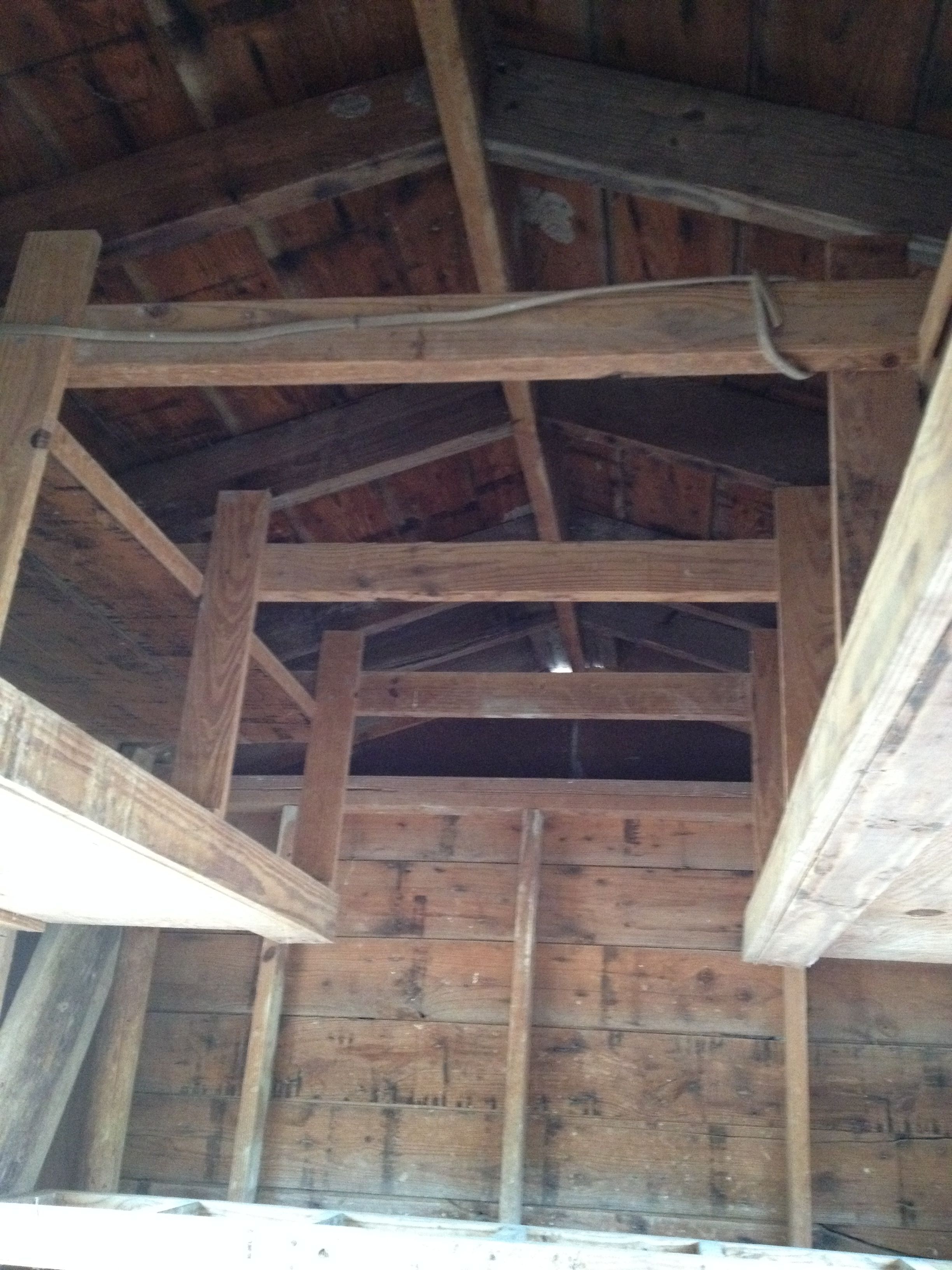The rafters where the florescent lights will go. The fixtures come with cool white, but I'm considering if I should put daylight tubes in them.