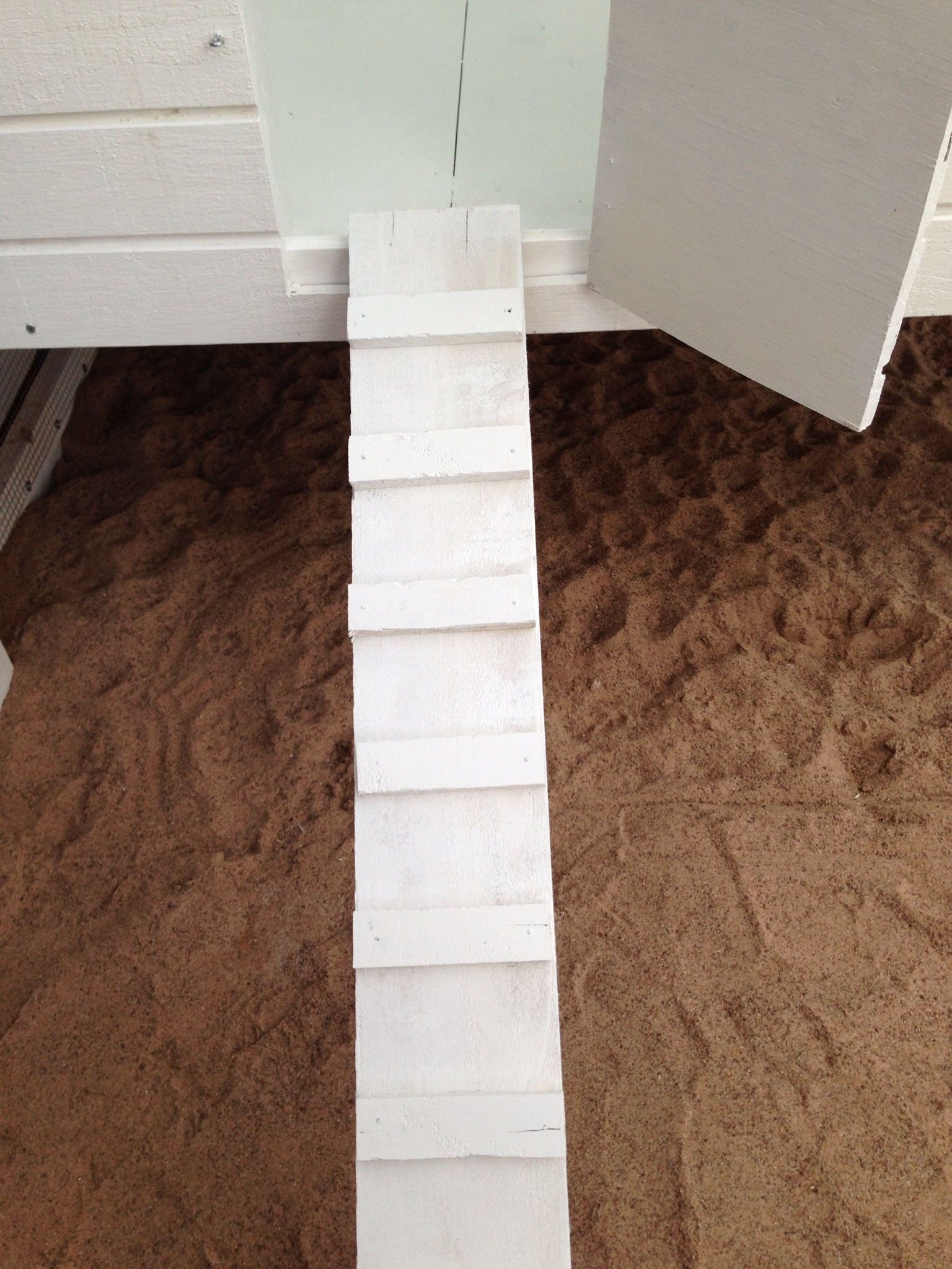 the ramp (3 inches steps apart)