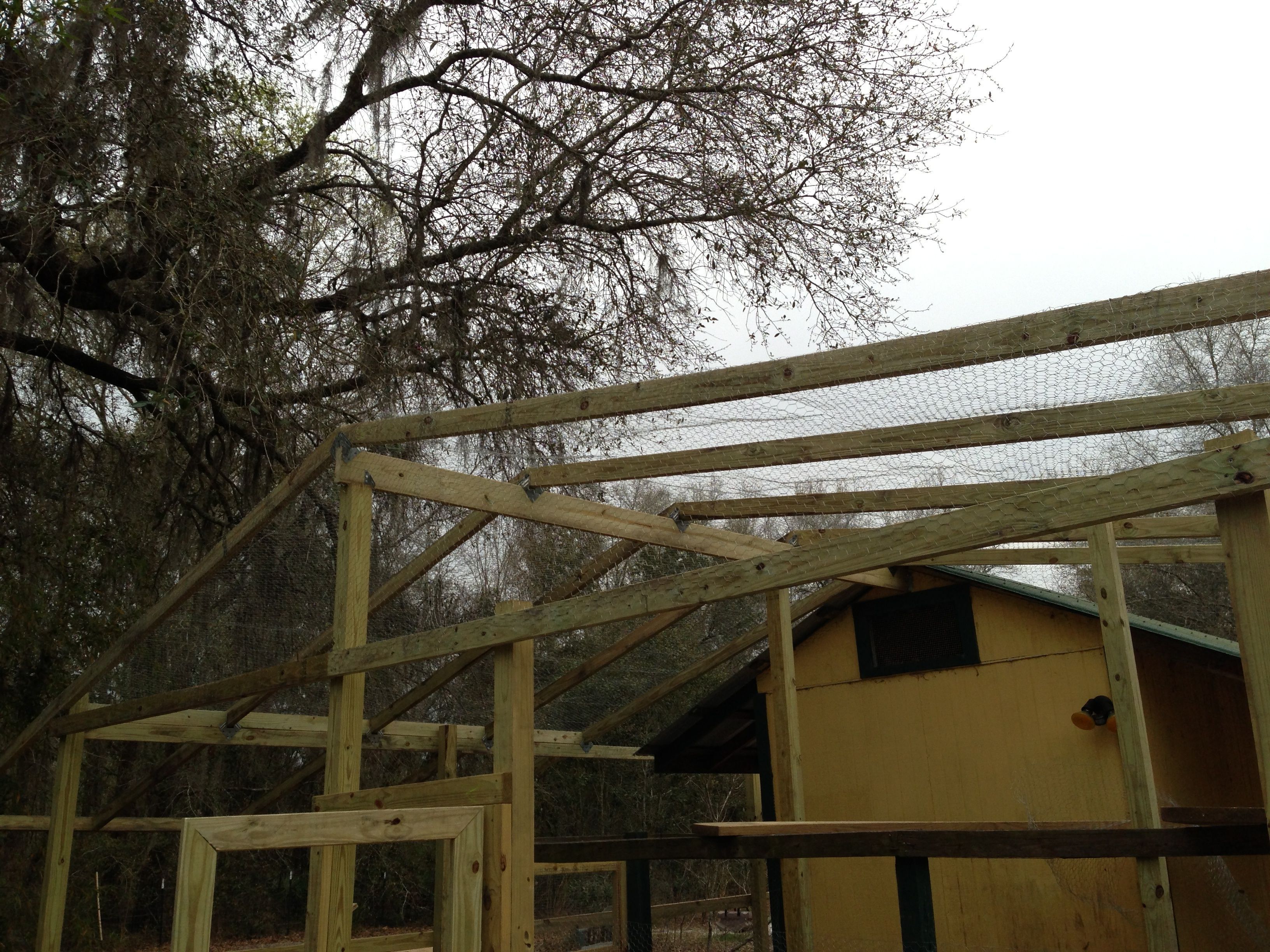 The roof goes on with poultry fencing over the top and down the sides.