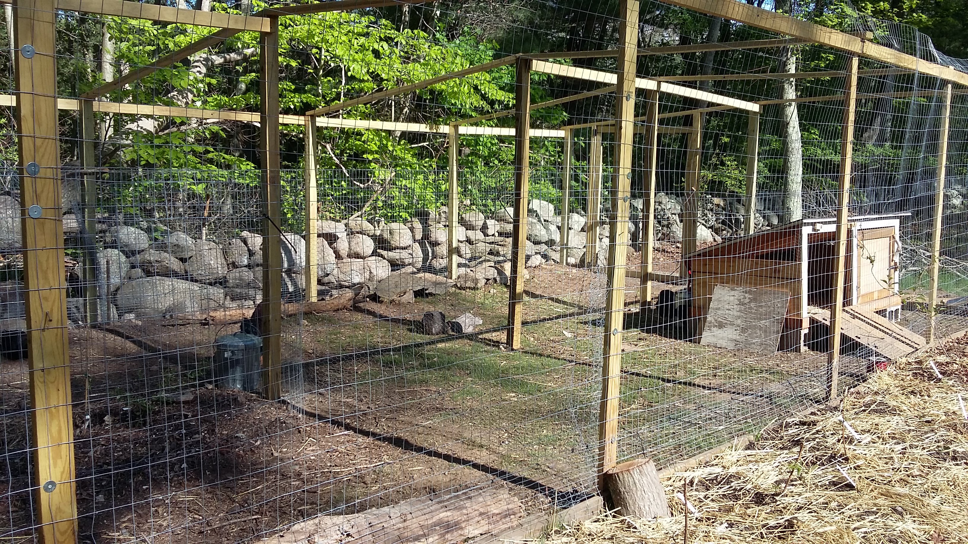 The run, during construction